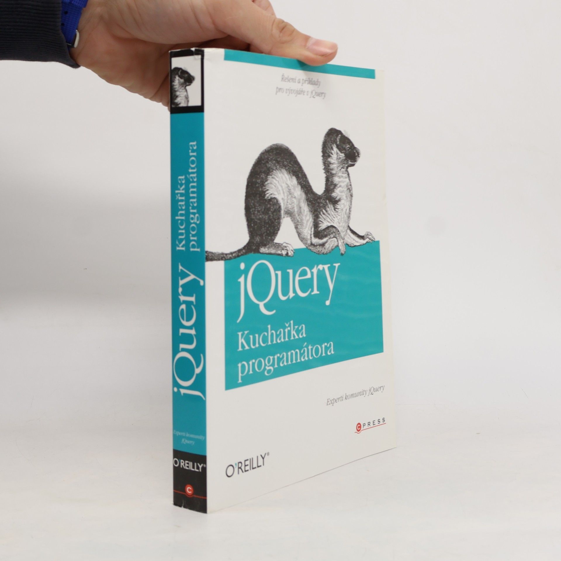 Autorenkollektiv jQuery - kuchařka programátora
