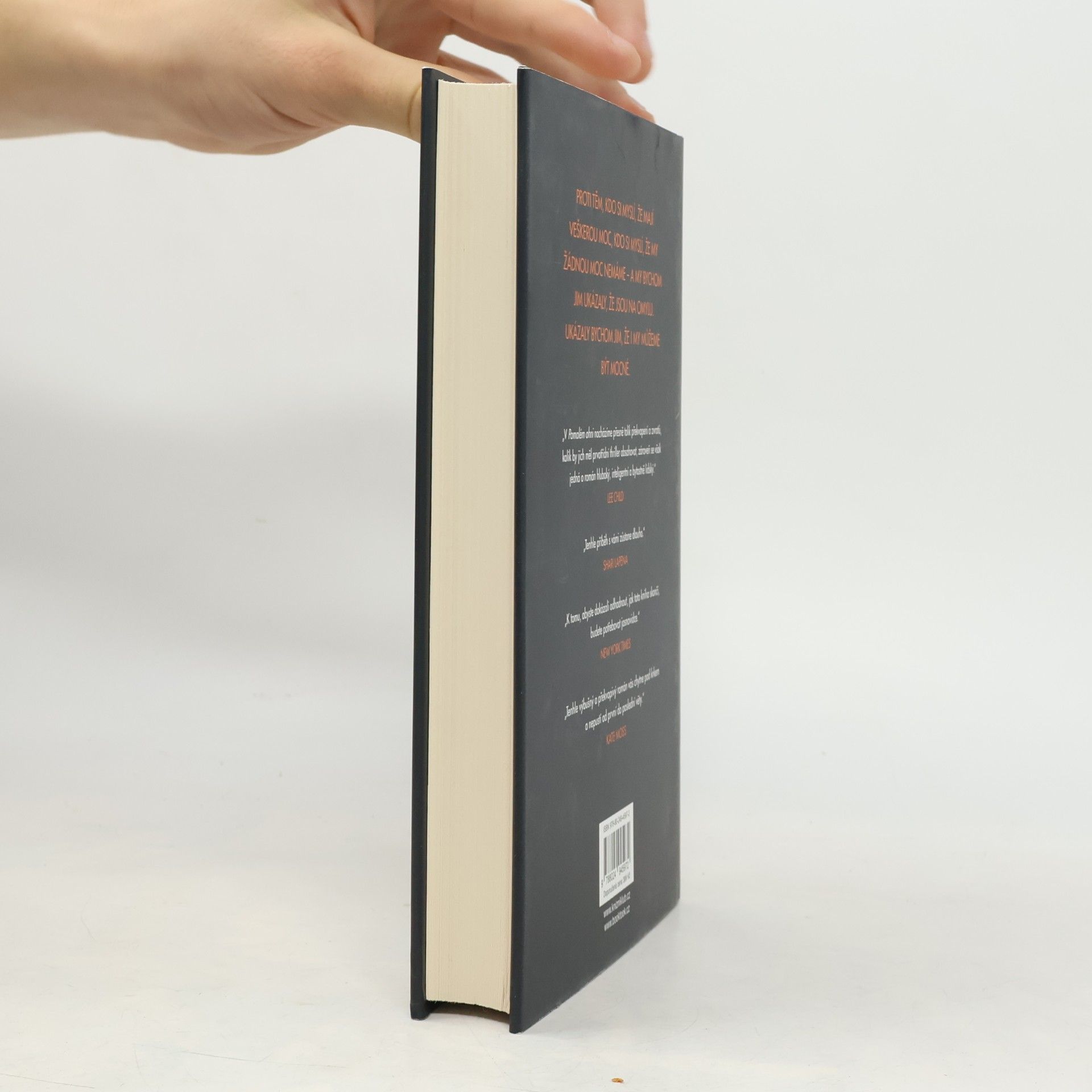 Paula Hawkins Pomalu hořící oheň