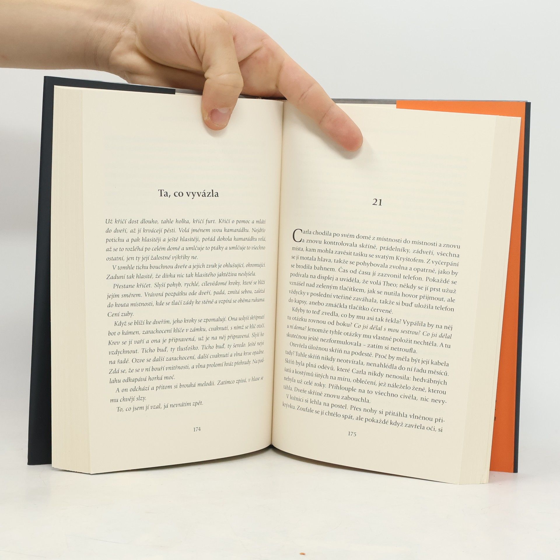 Paula Hawkins Pomalu hořící oheň