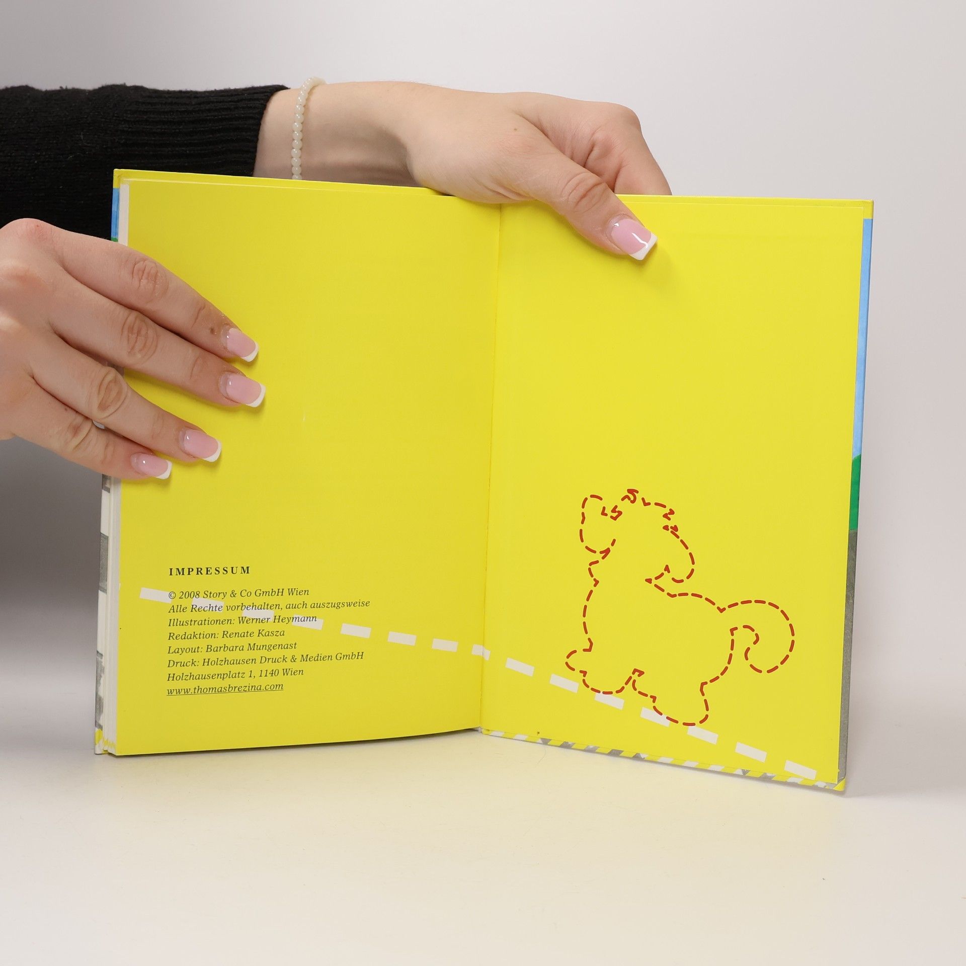 Thomas Brezina Sicher unterwegs mit Flocki Flott: Die bellende Katze