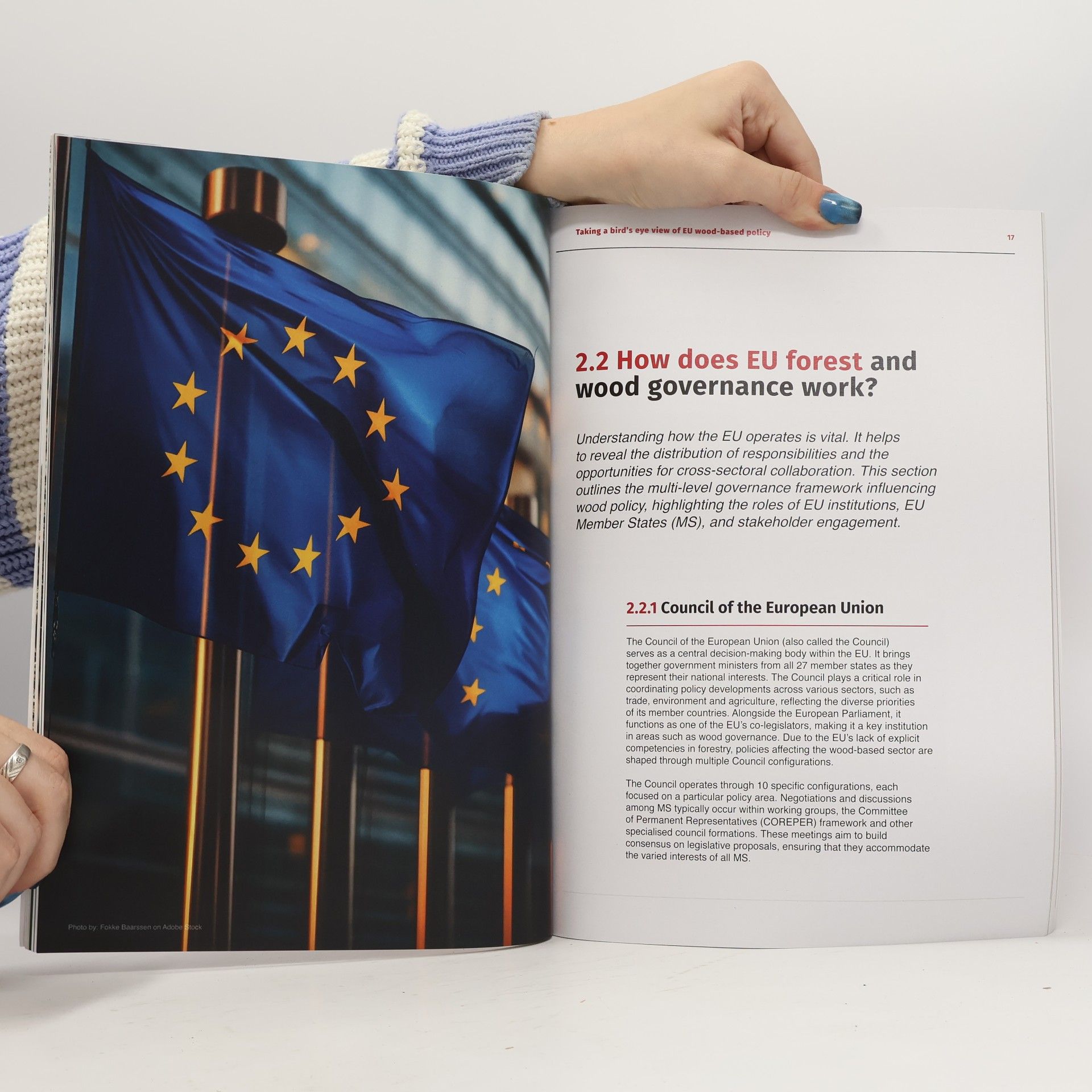 Gerhard Weiss Taking a Bird's Eye View of EU Wood-Based Policy 07