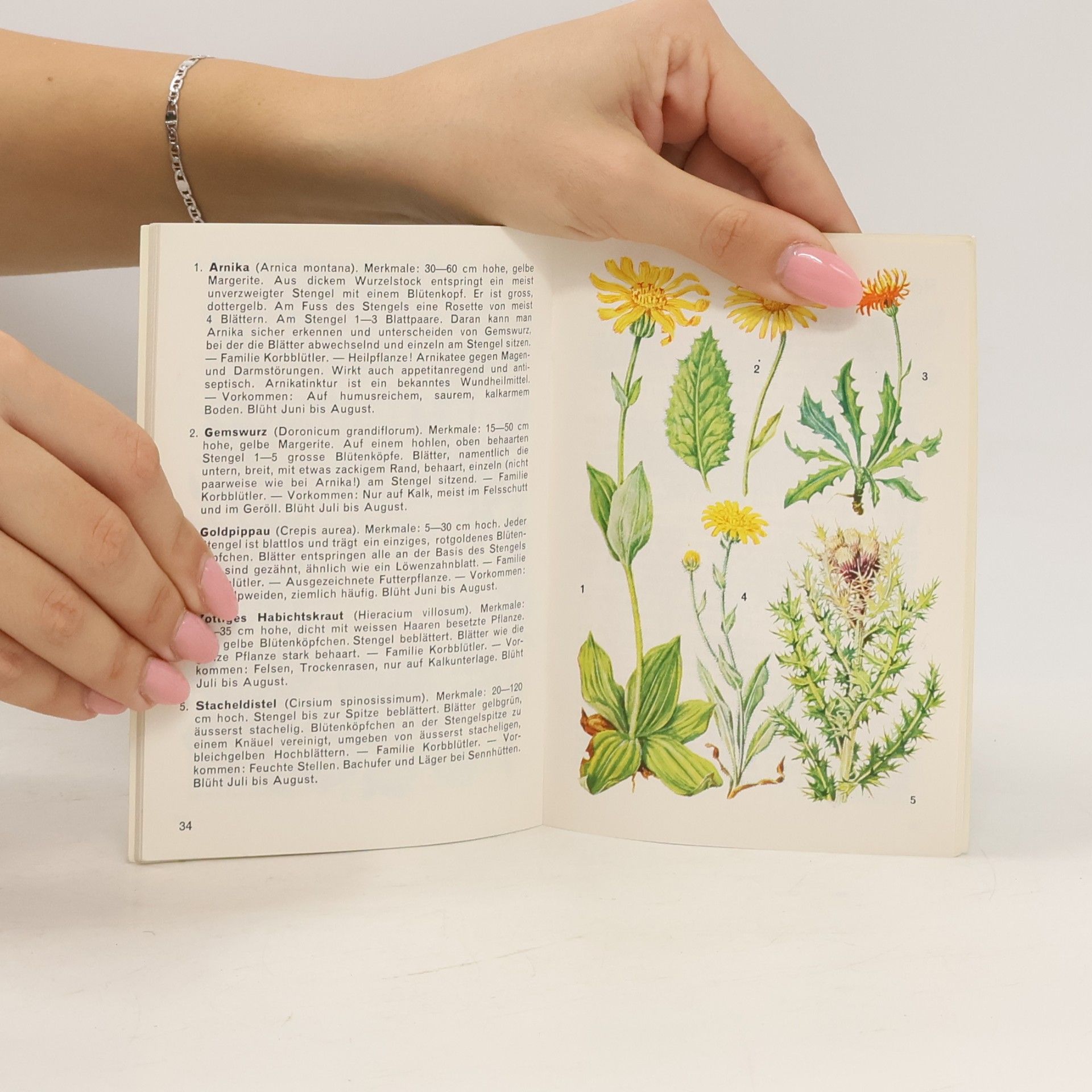 Autorenkollektiv Die schönsten Alpenblumen