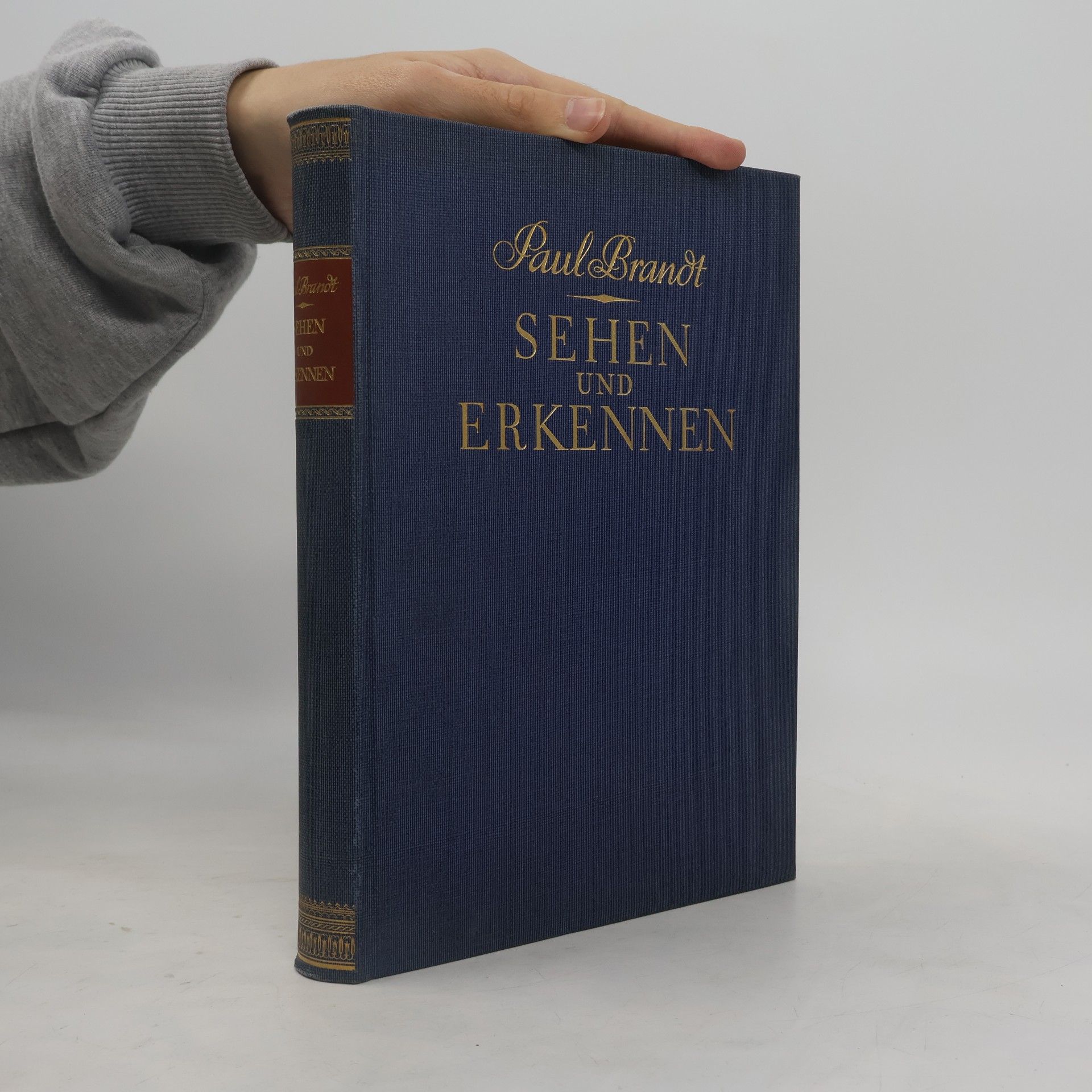 Sehen und Erkennen