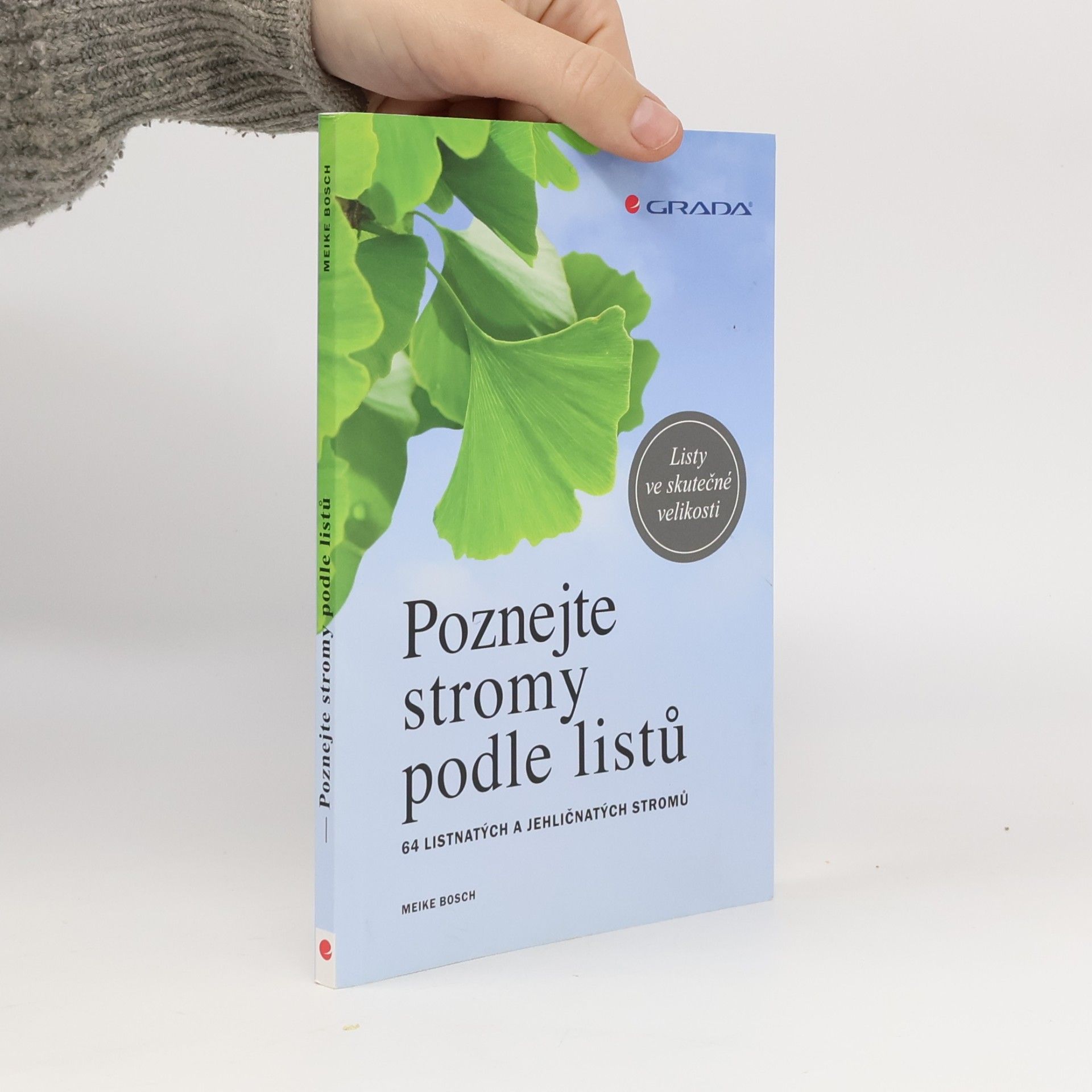 Meike Bosch Poznejte stromy podle listů