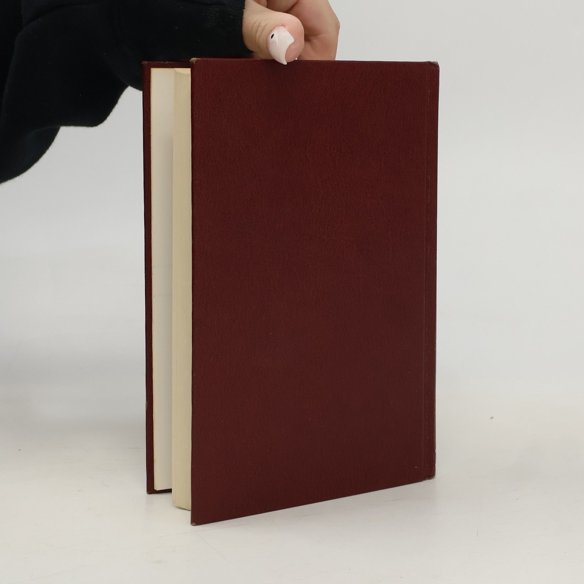 Various authors Kleine WP Woordenboek