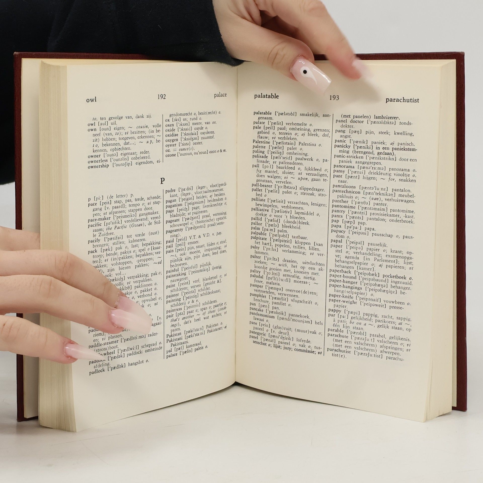 Various authors Kleine WP Woordenboek