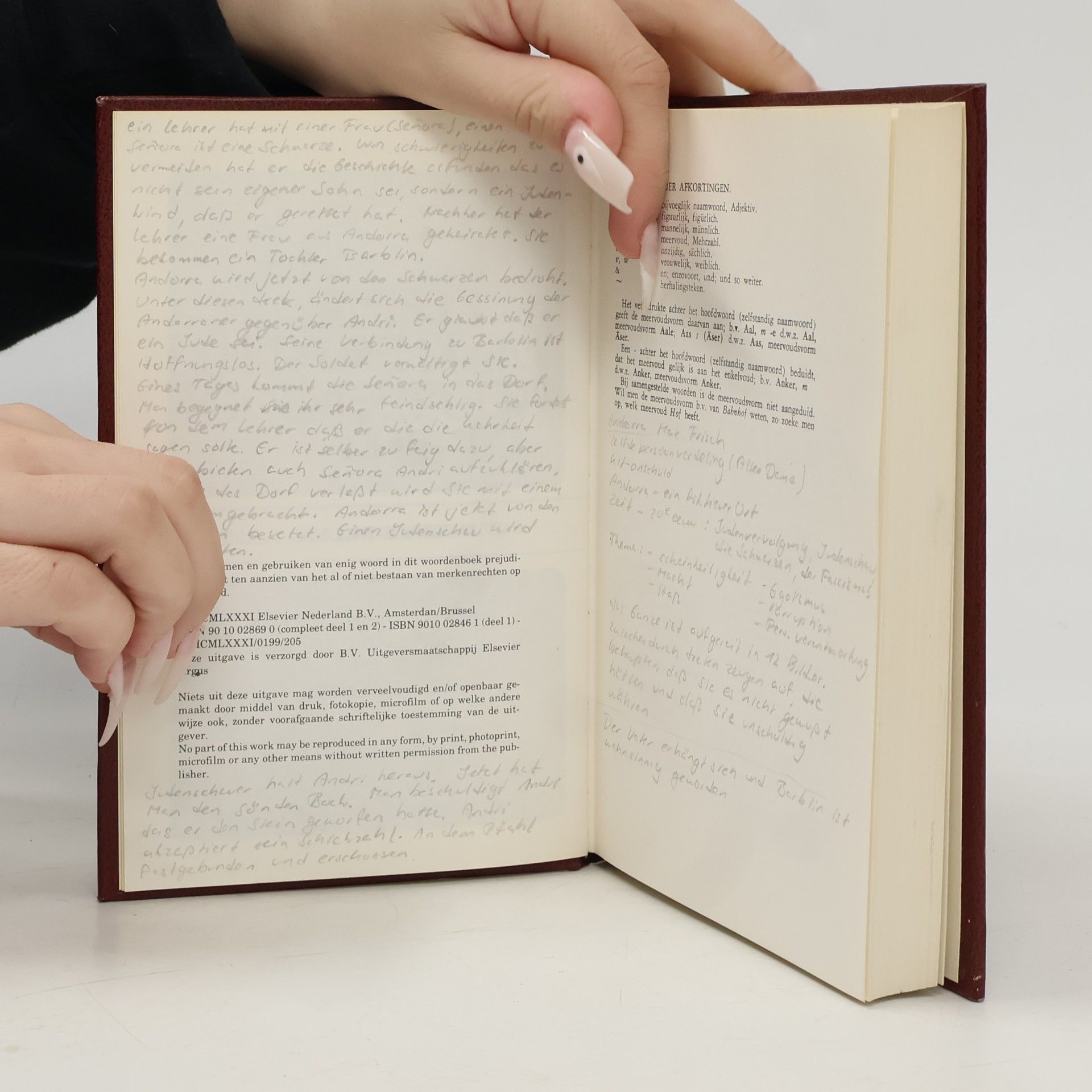 Max Frisch Kleine WP Woordenboek