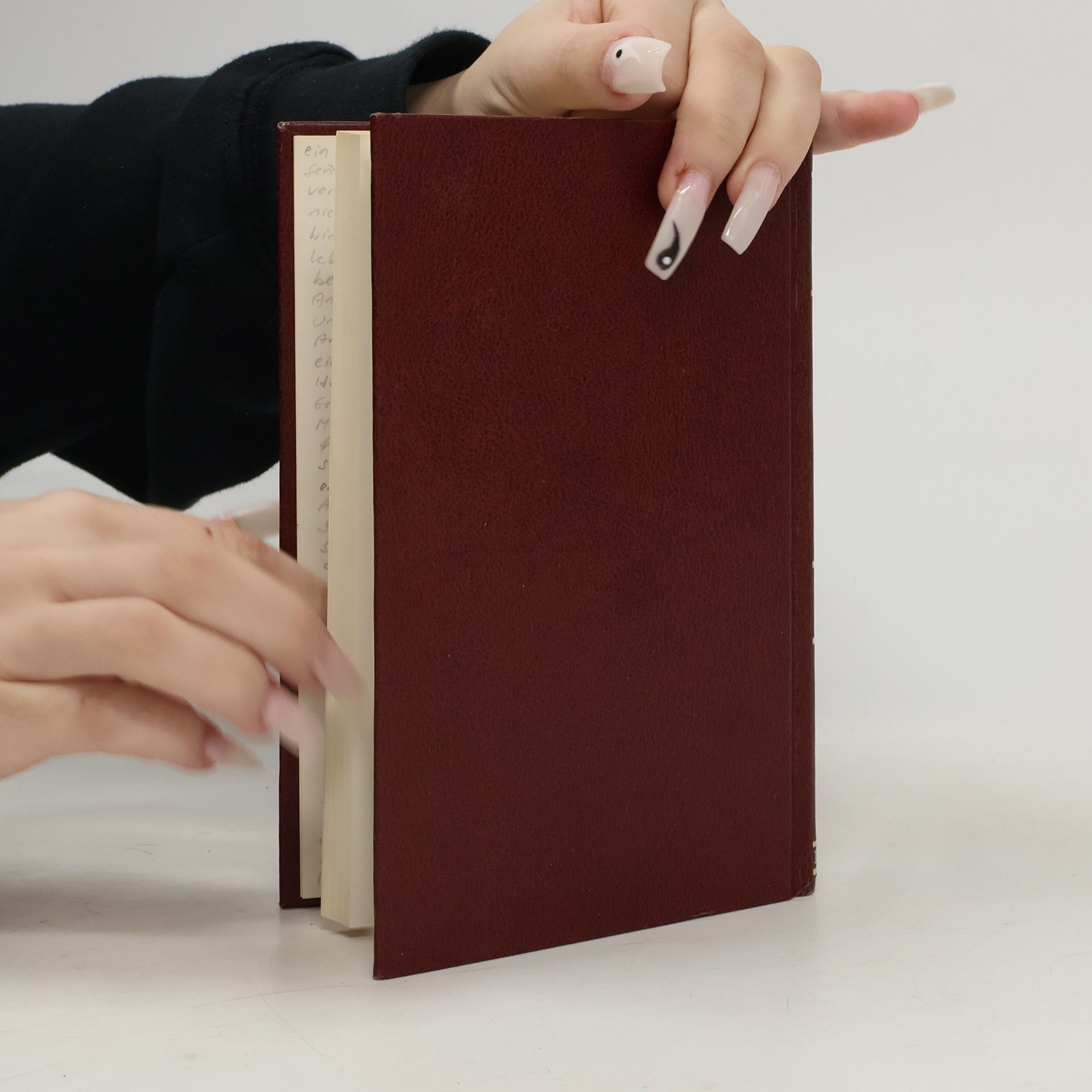 Max Frisch Kleine WP Woordenboek