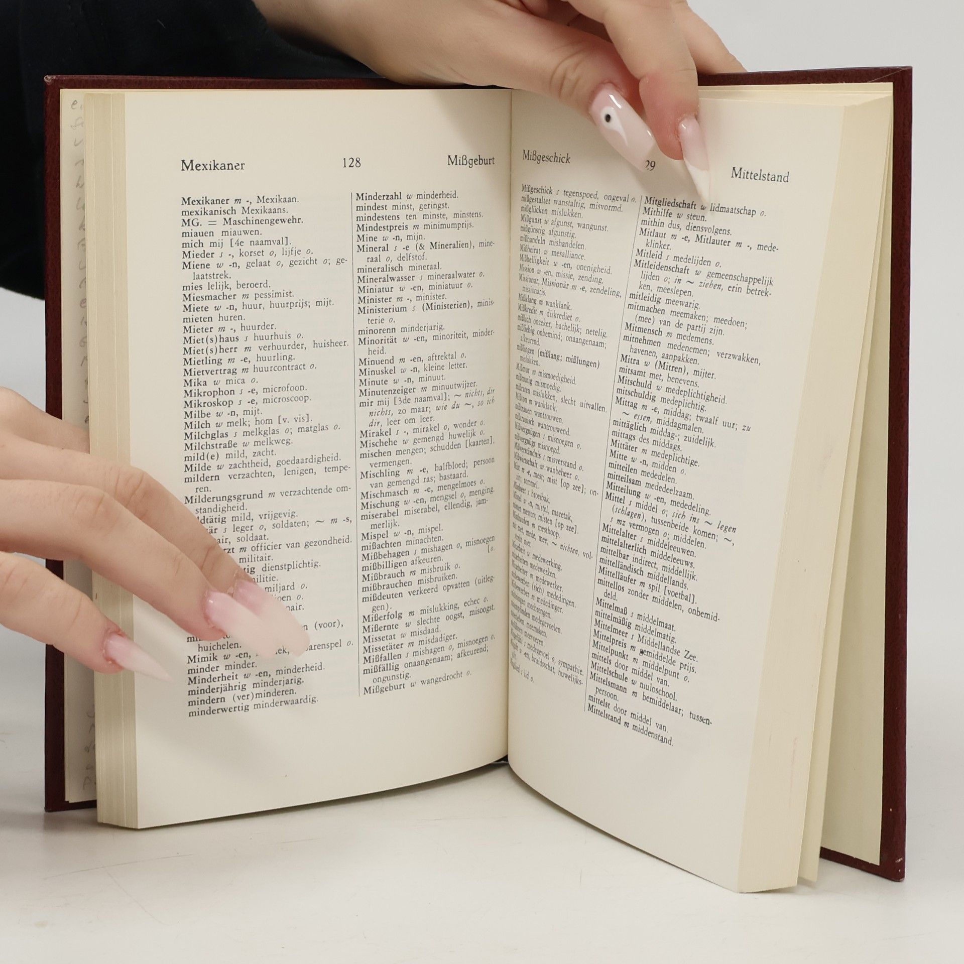 Max Frisch Kleine WP Woordenboek