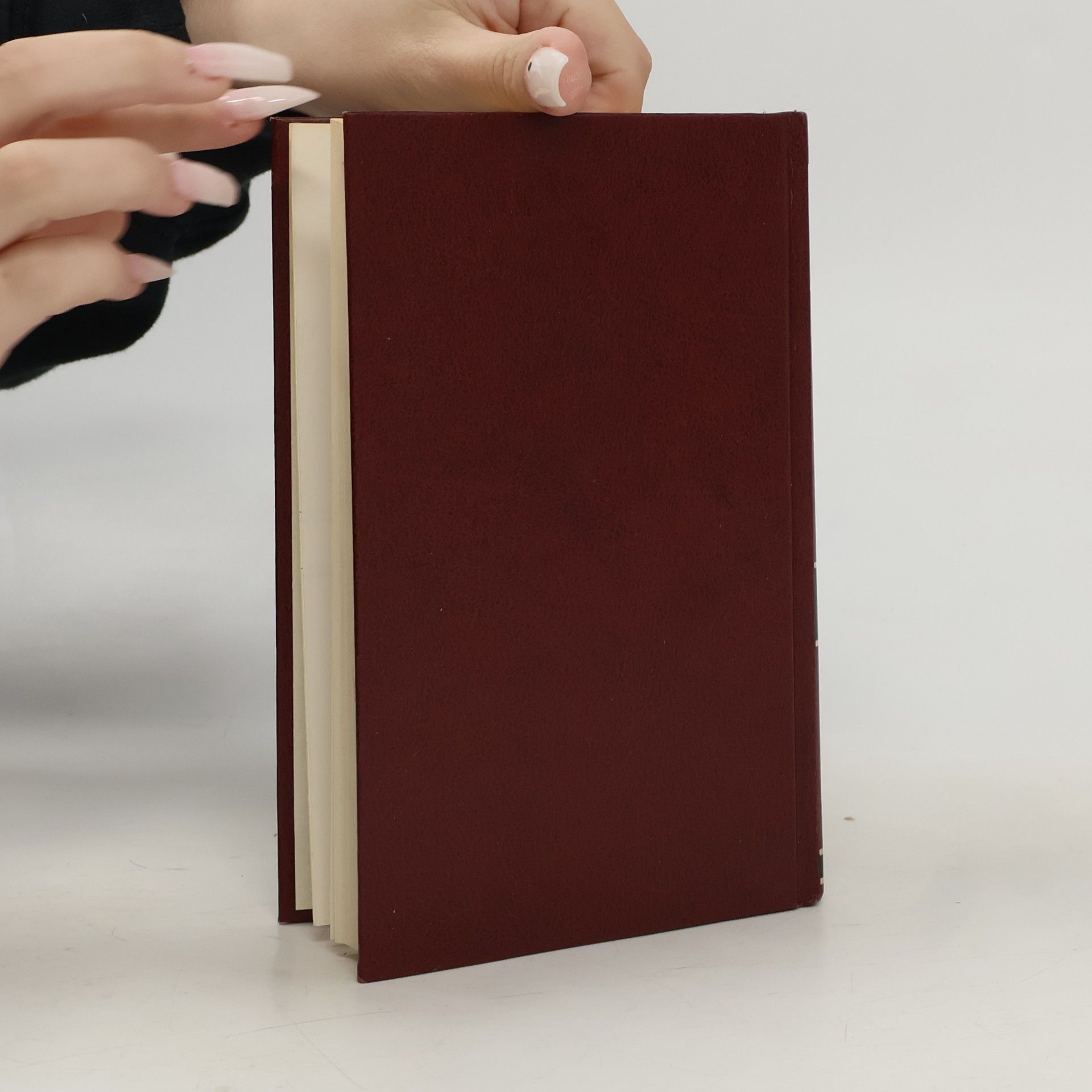 Autorenkollektiv Kleine Winkler Prins Woordenboek Nederlands. Meu-Z