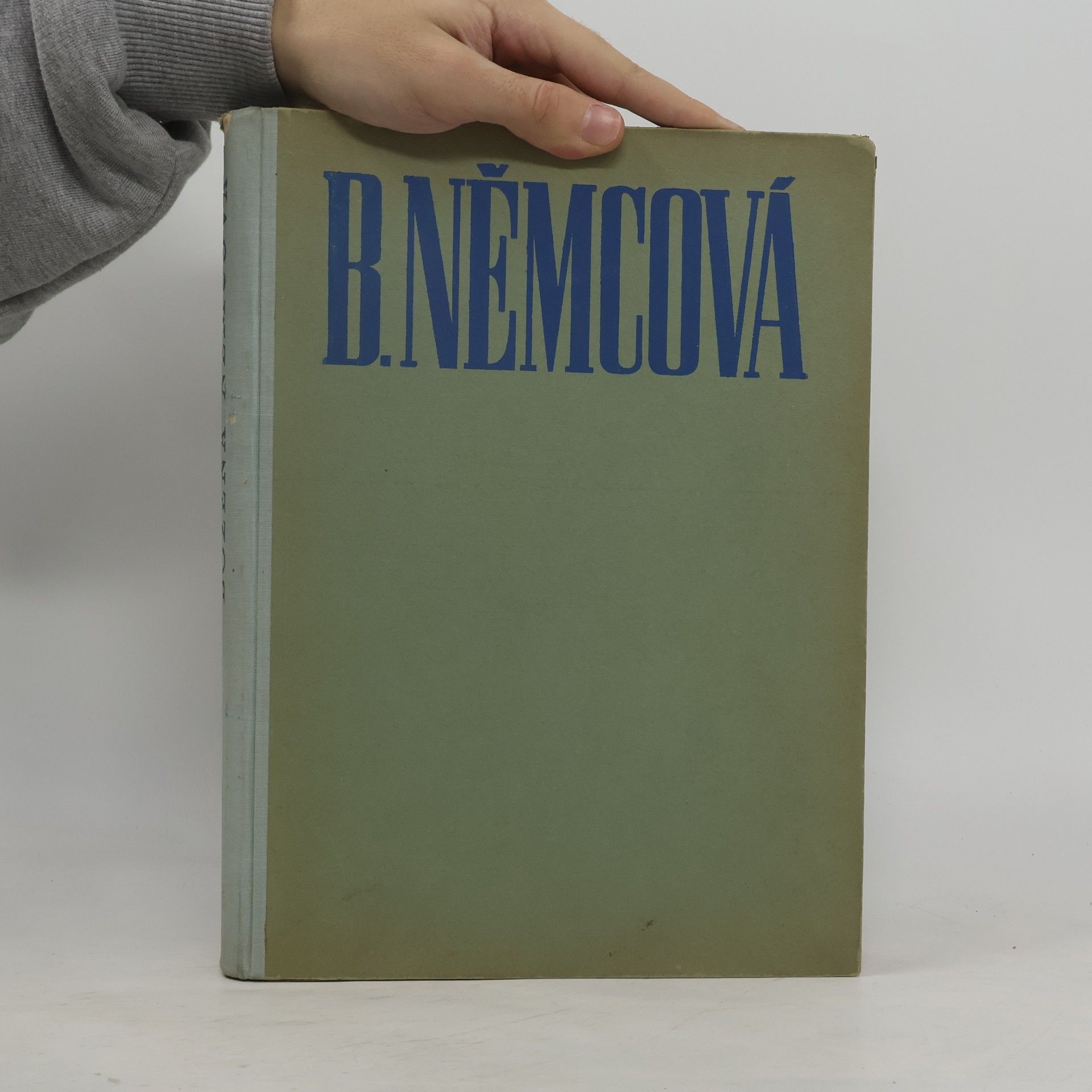 František Kubka Božena Němcová