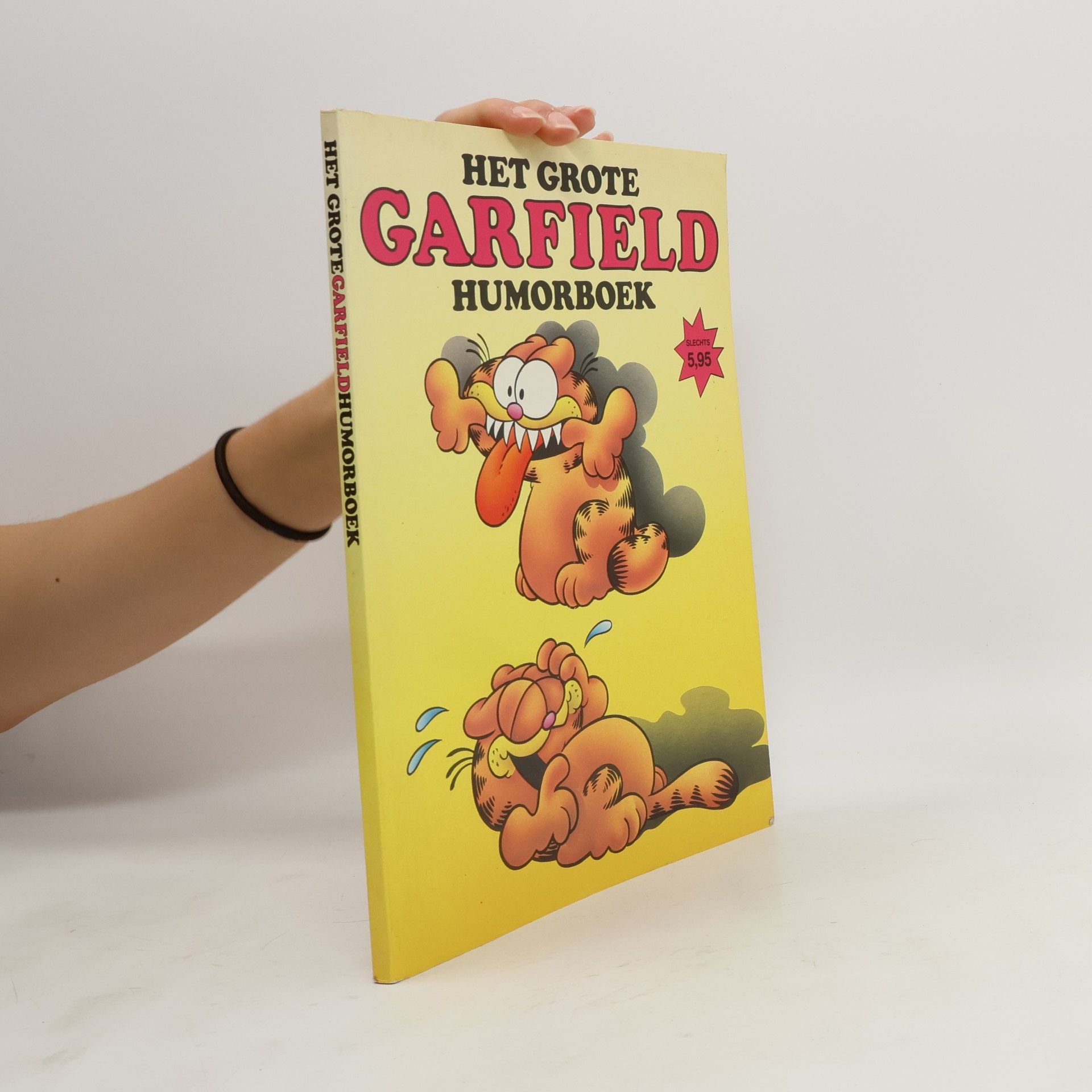 Various authors Het Grote Garfield humorboek