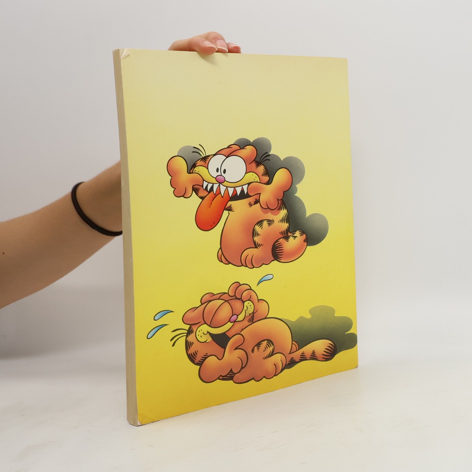 Various authors Het Grote Garfield humorboek