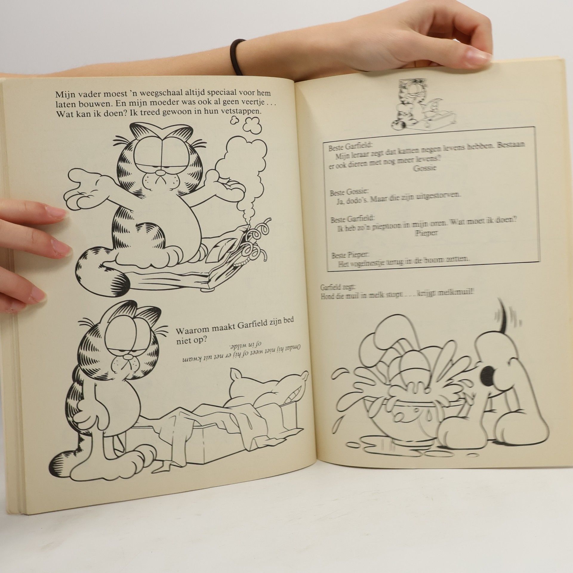 Various authors Het Grote Garfield humorboek