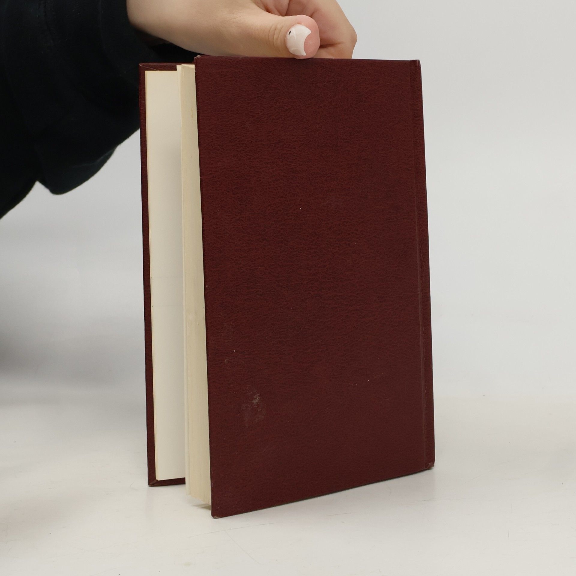 Various authors Kleine WP Woordenboek