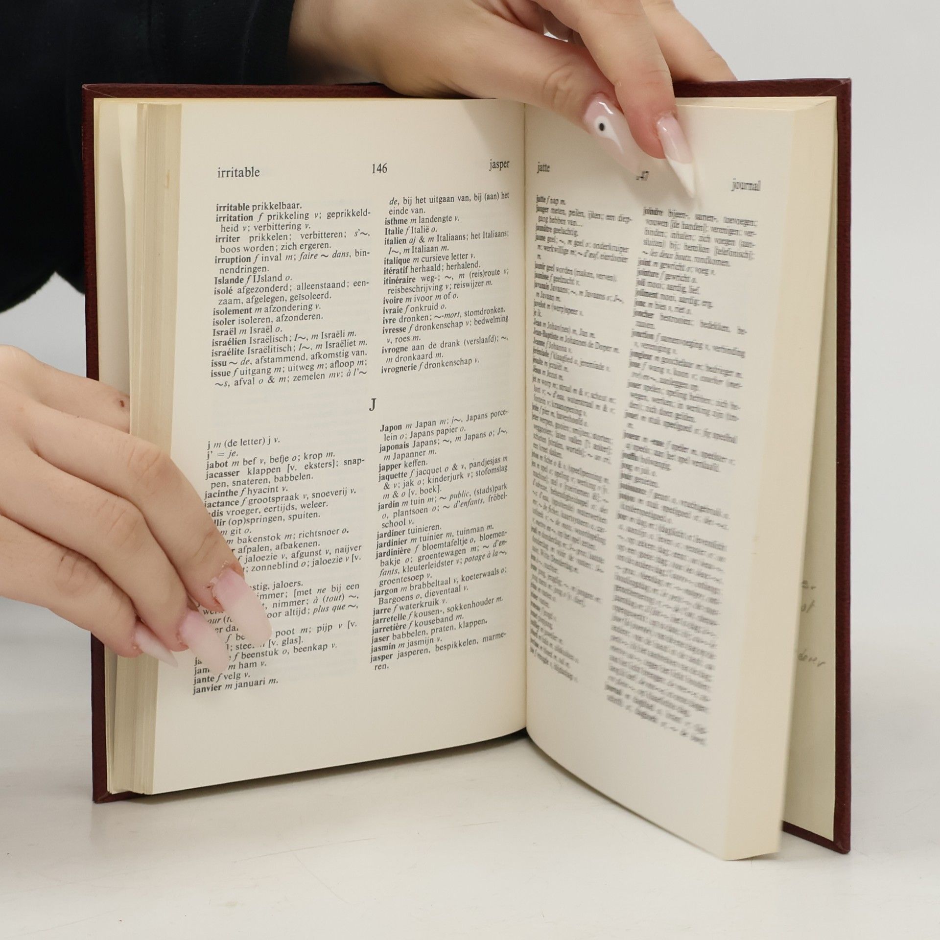 Various authors Kleine WP Woordenboek