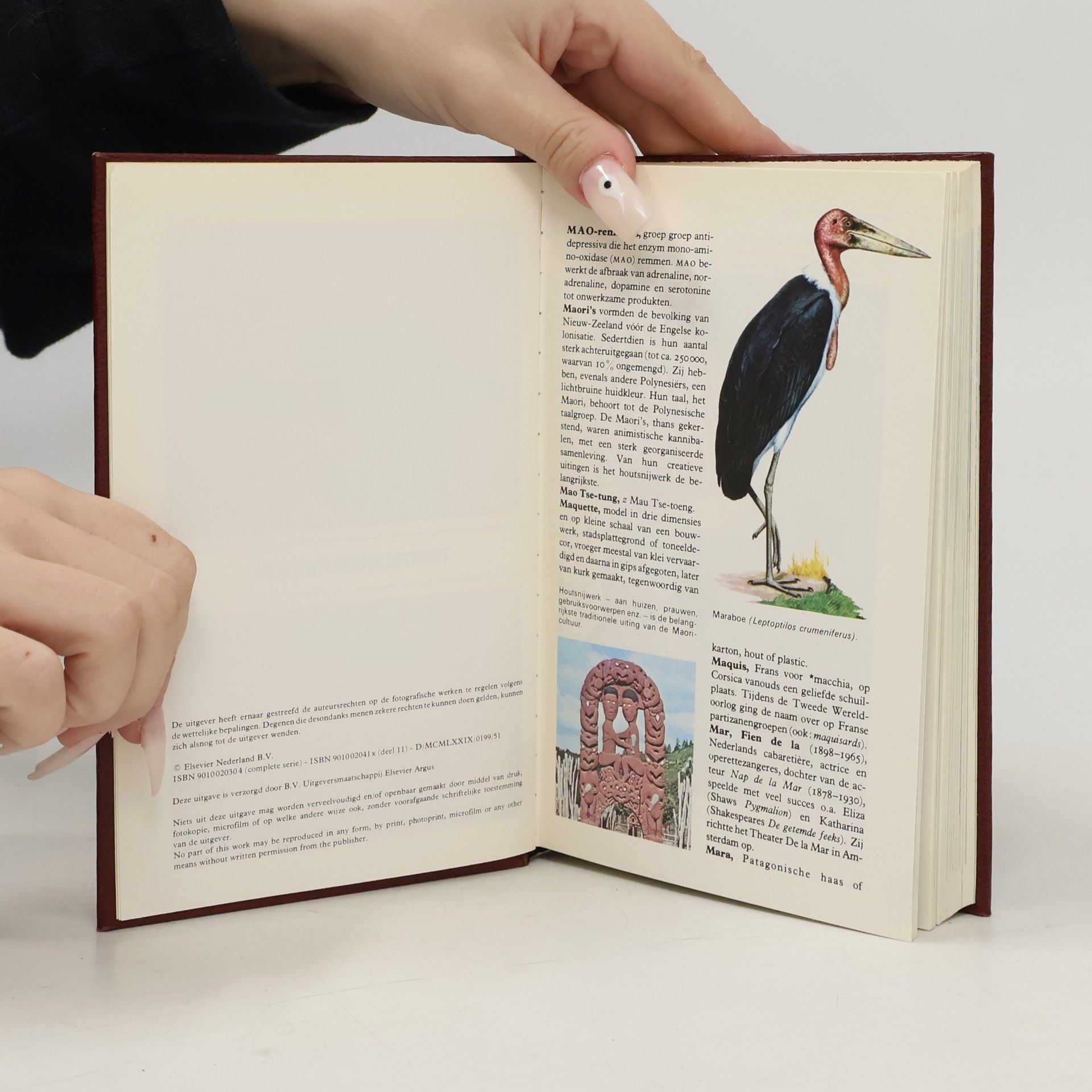 Various authors Kleine WP 11