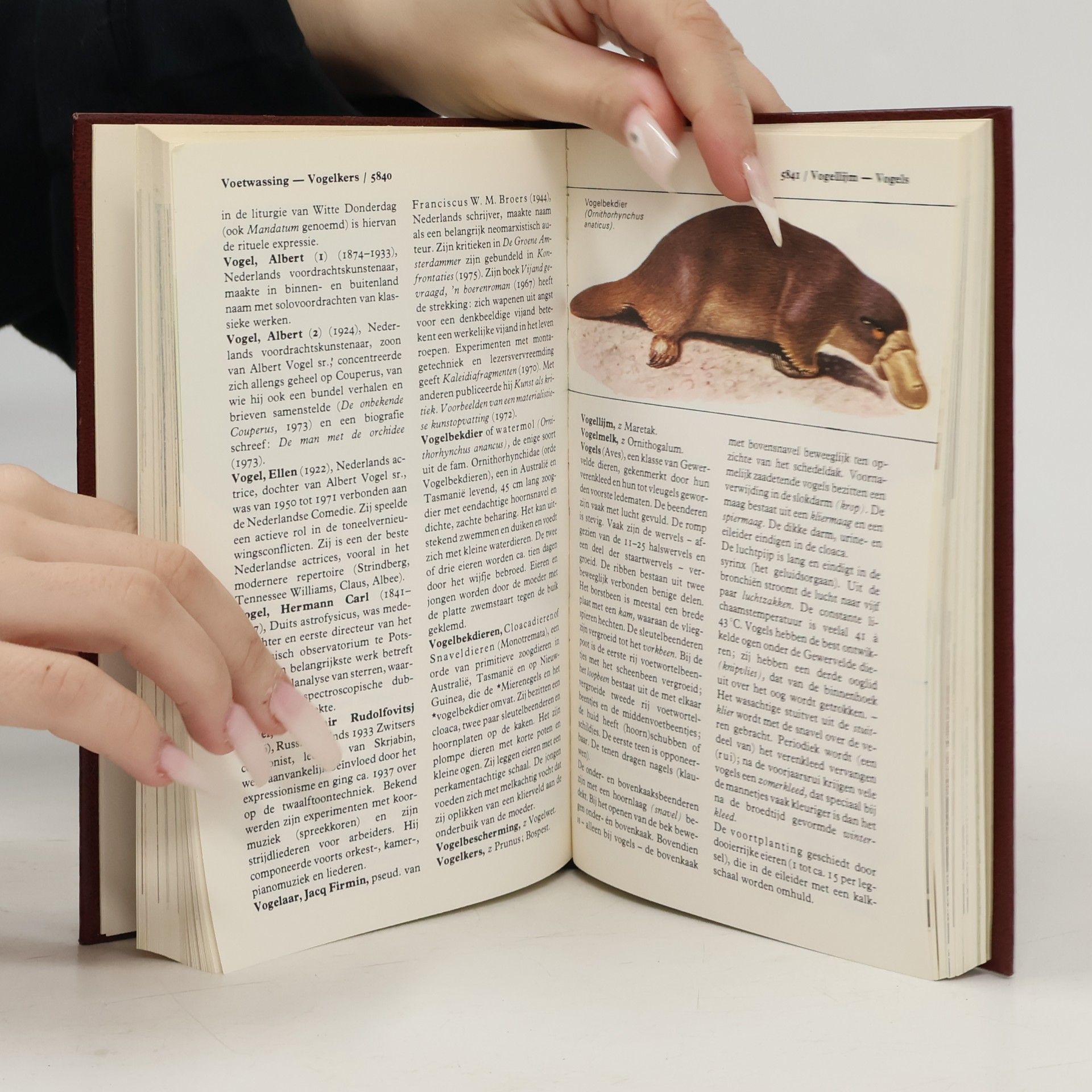 Various authors Kleine WP 19