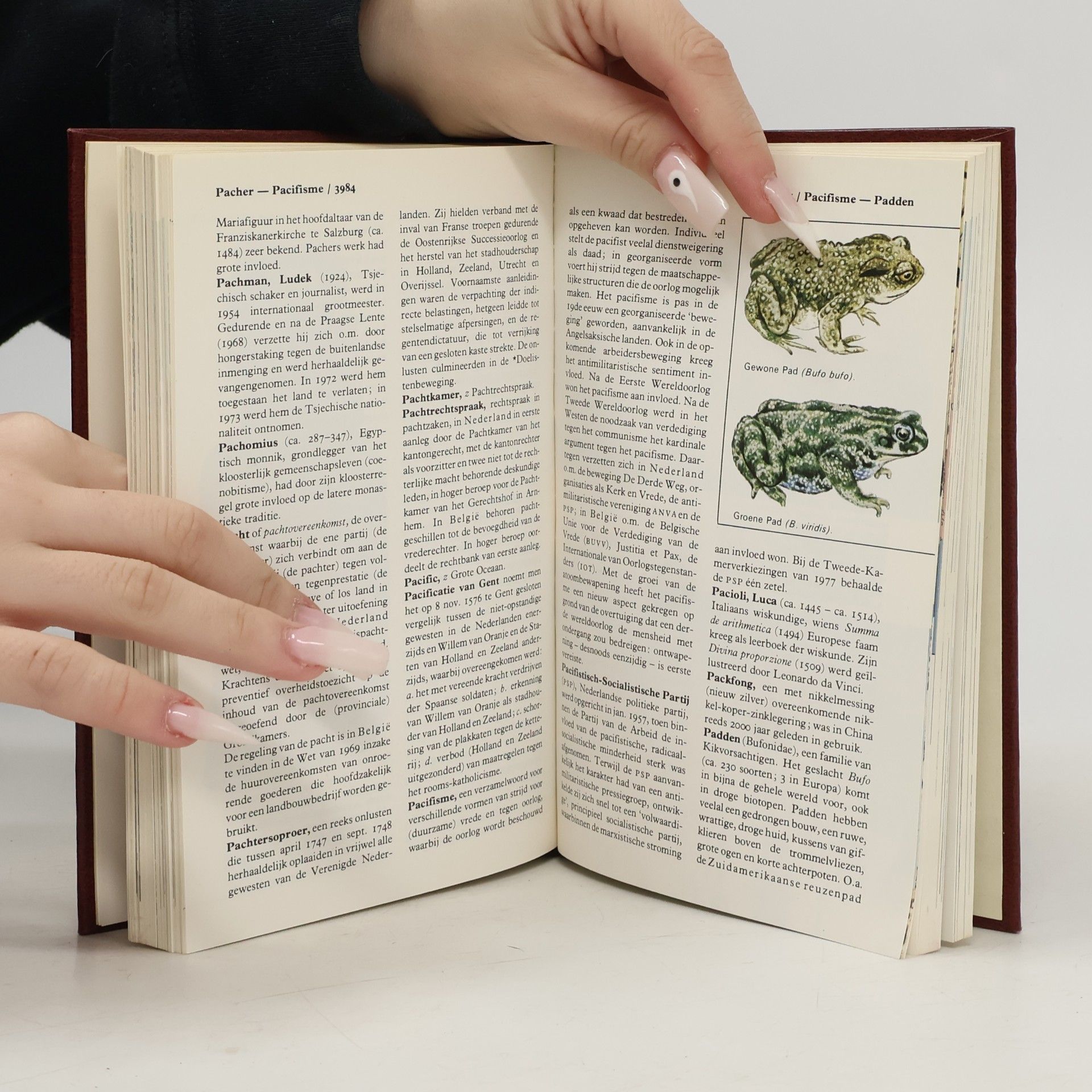 Autorenkollektiv Kleine Winkler Prins in kleur. Deel 13. O–Pen
