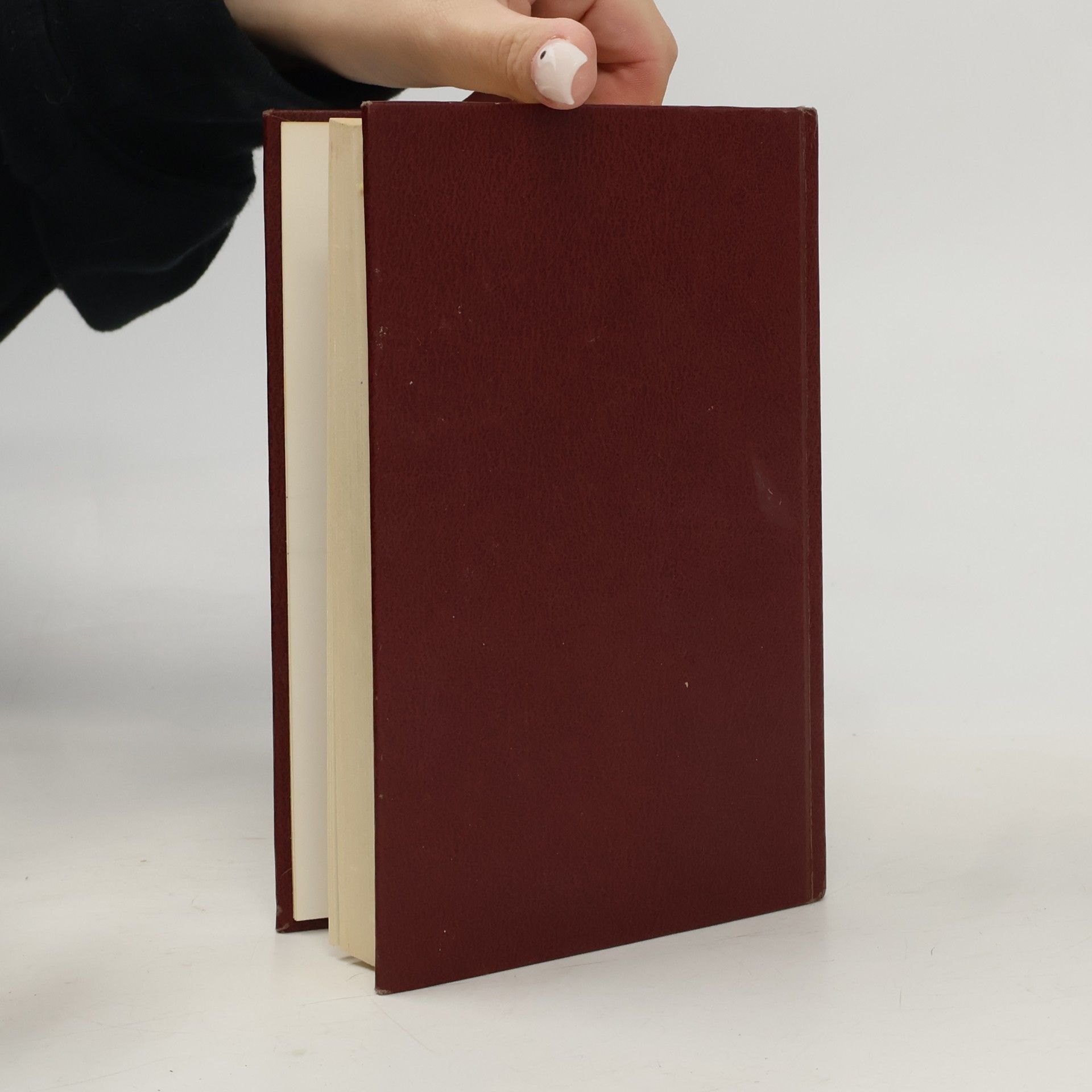 Various authors Kleine WP Woordenboek