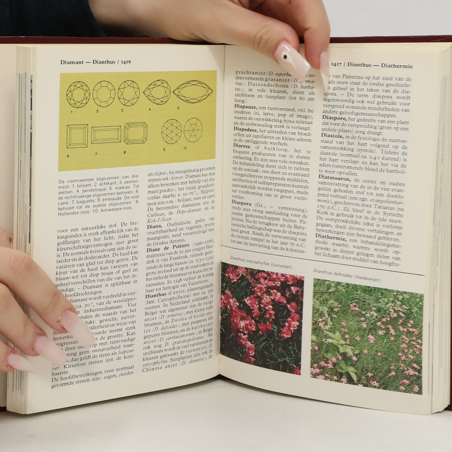 Various authors Kleine WP in kleur 5