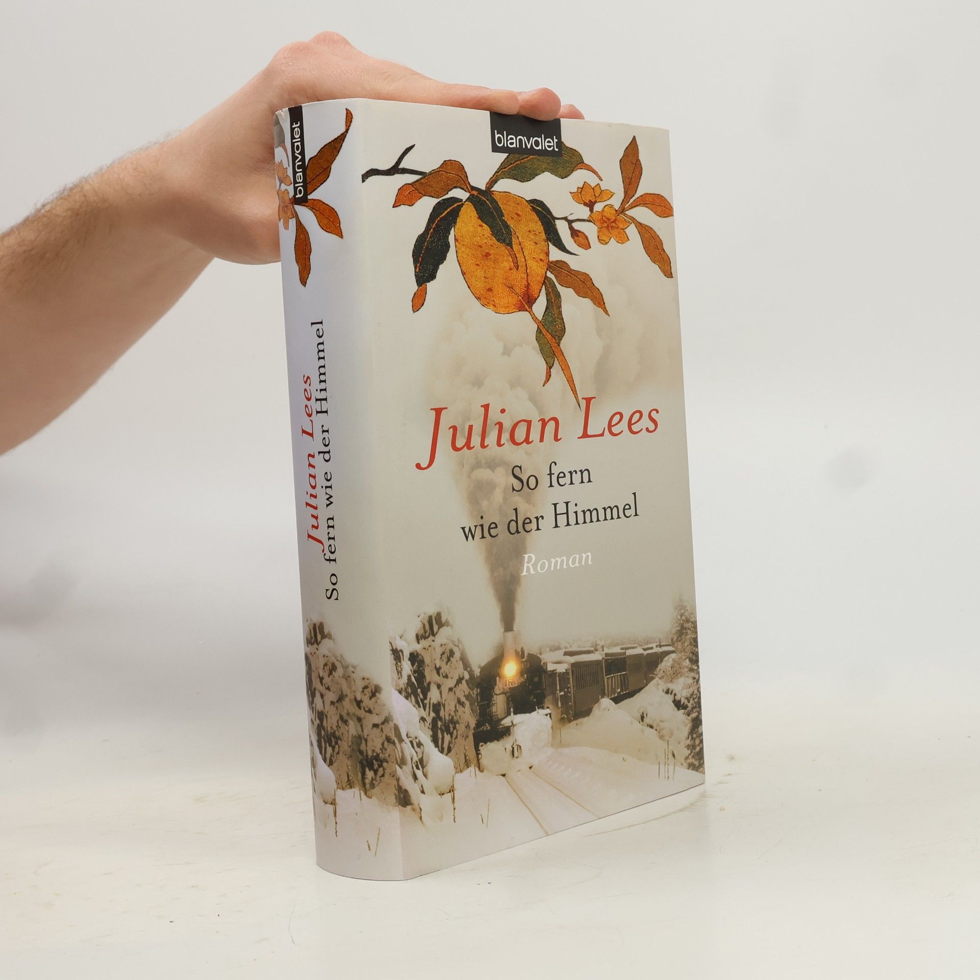 Julian Lees So fern wie der Himmel