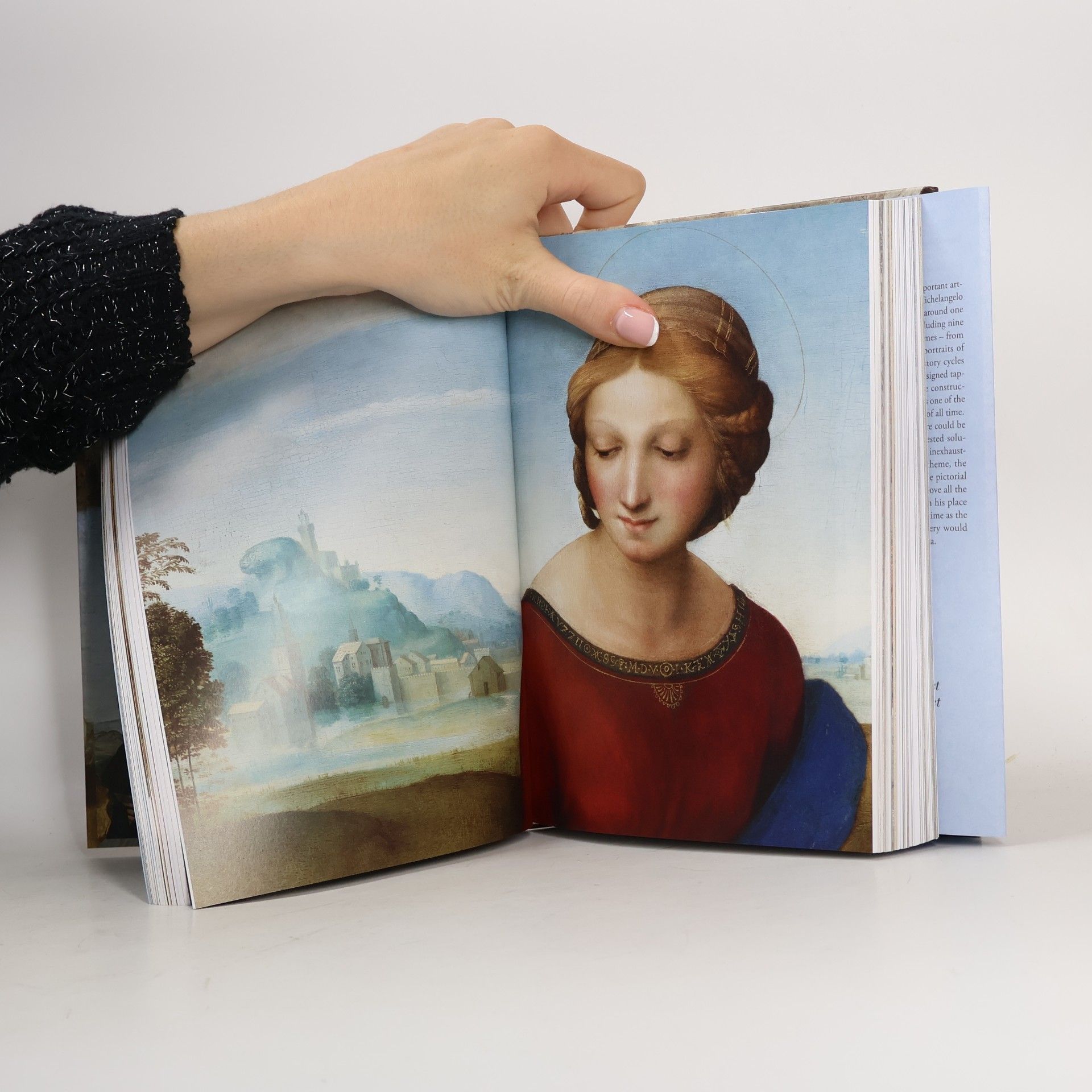 Michael Rohlmann Raphael: Paintings, Frescoes, Tapestries. 45th Ed. (45th Edition)