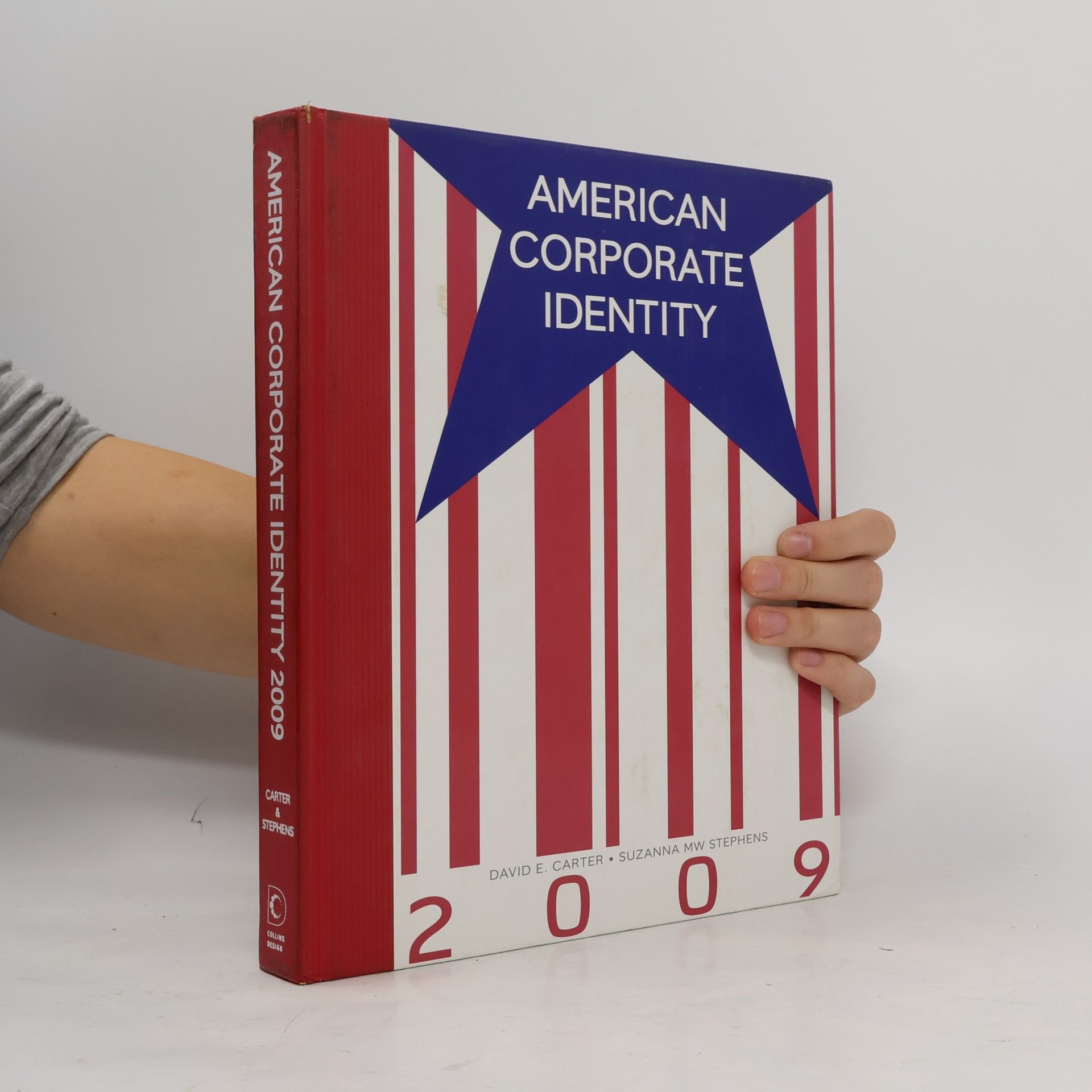 American Corporate Identity 2009