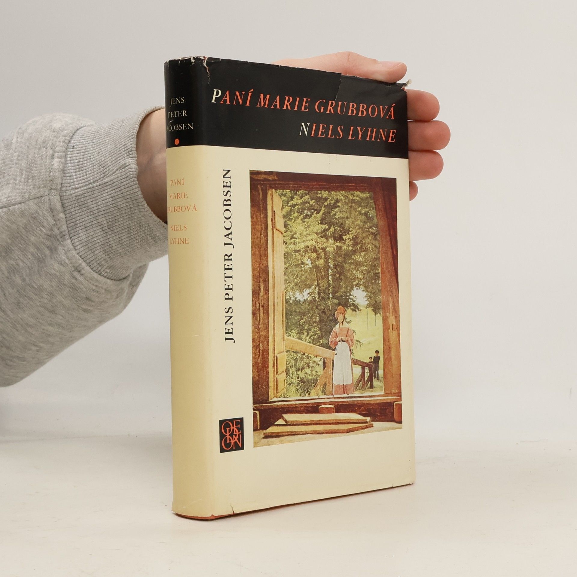 Paní Marie Grubbová. Niels Lyhne
