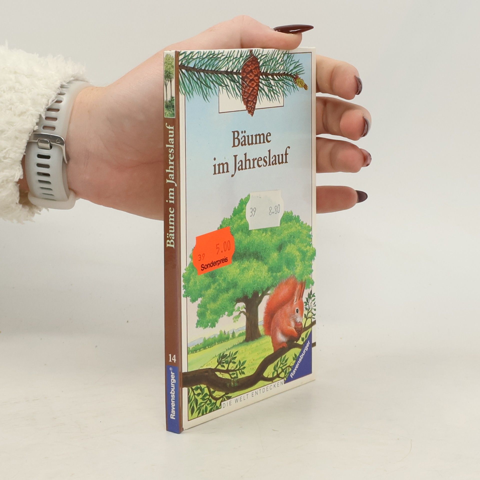 Bäume im Jahreslauf