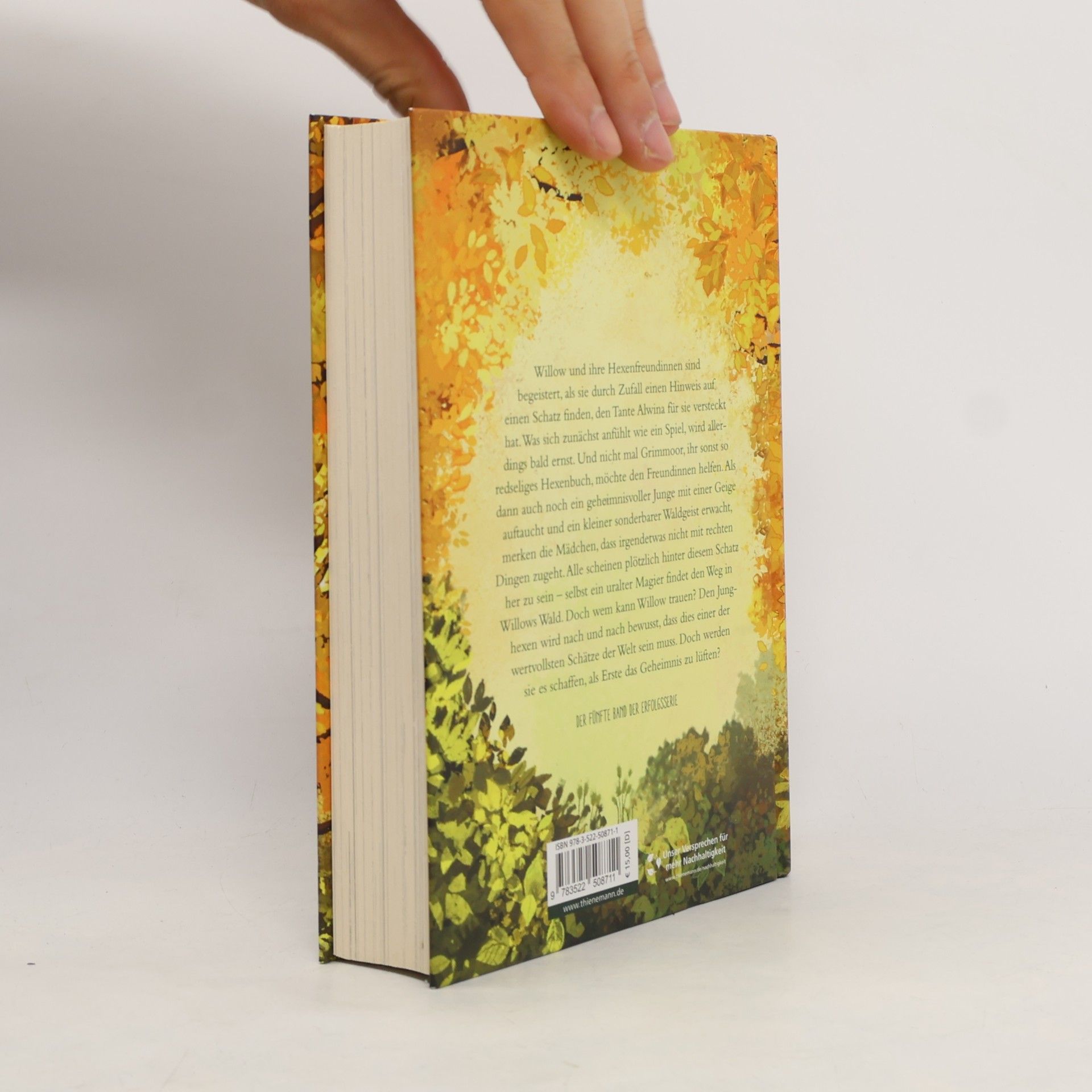 Sabine Bohlmann Schattenzeit / Ein Mädchen namens Willow Bd.5