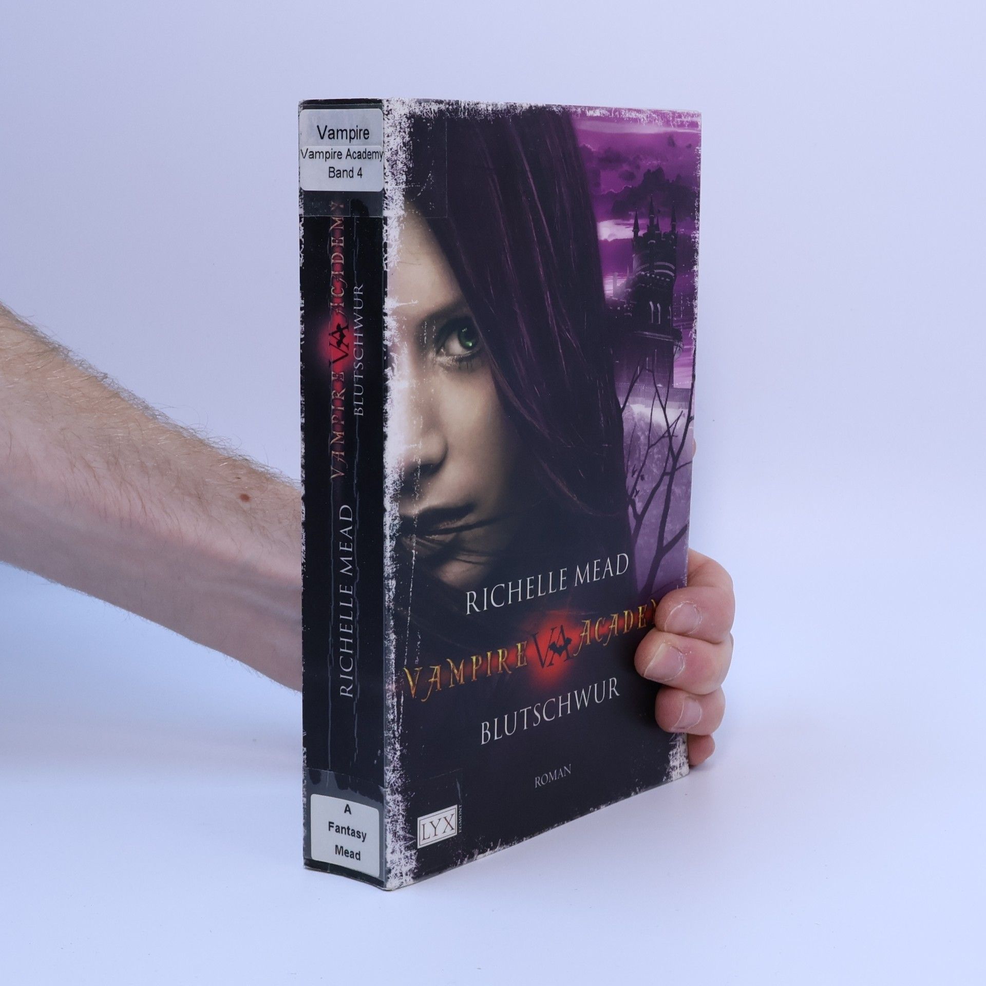 Richelle Mead Vampire Academy. Blutschwur