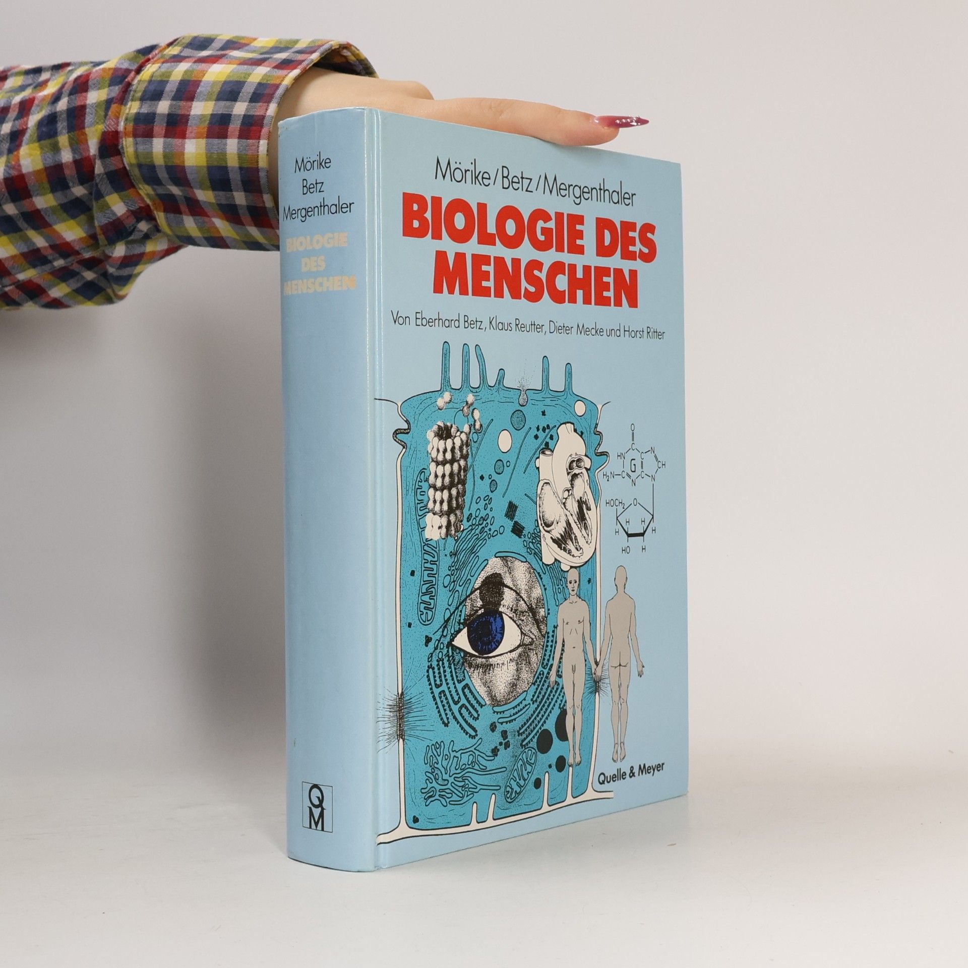 Biologie des Menschen