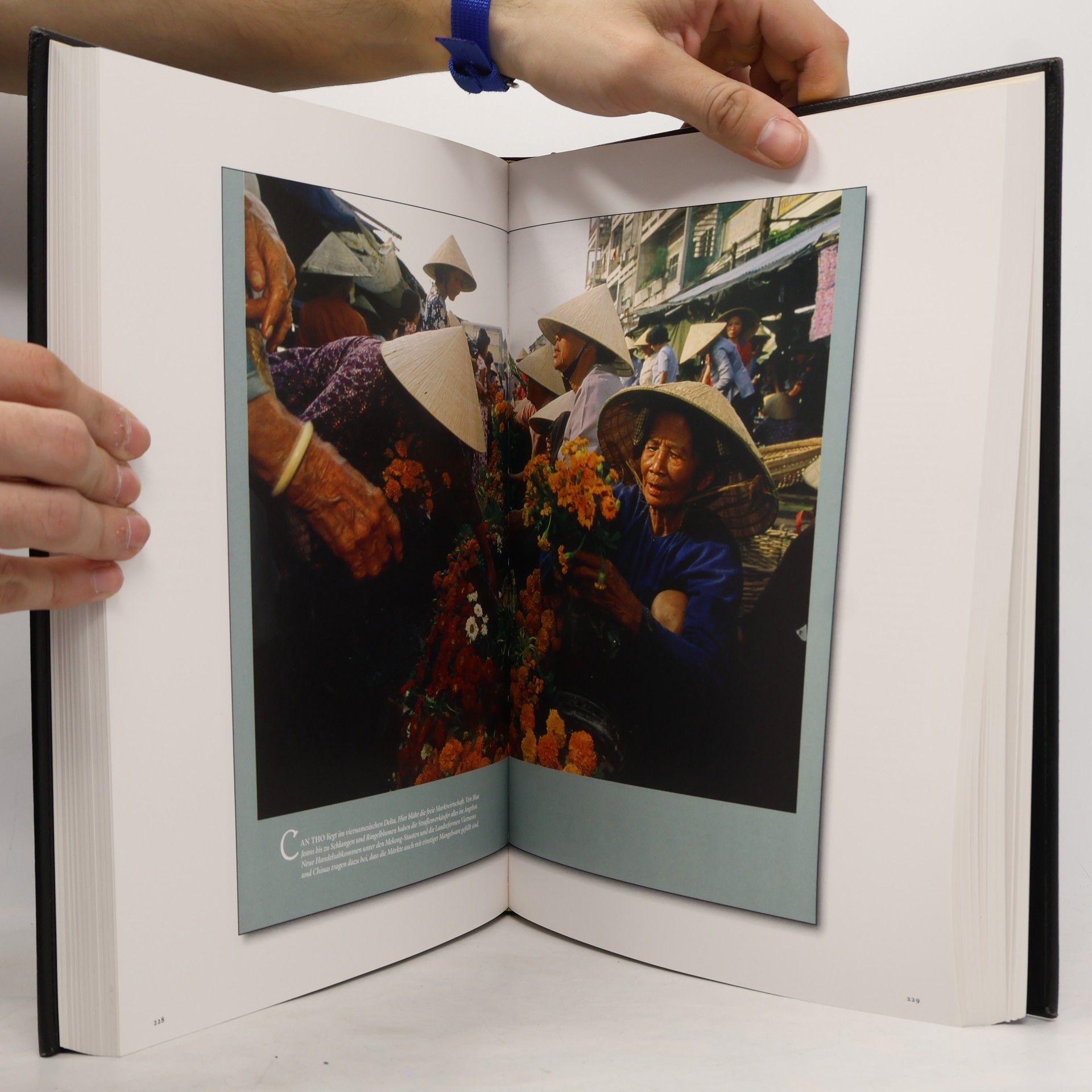 Autorenkollektiv Die große National Geographic Bibliothek IV