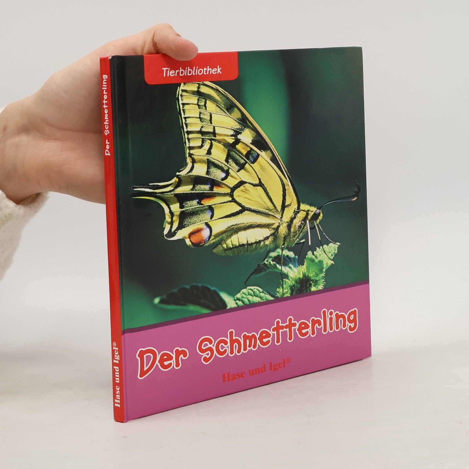 Der Schmetterling