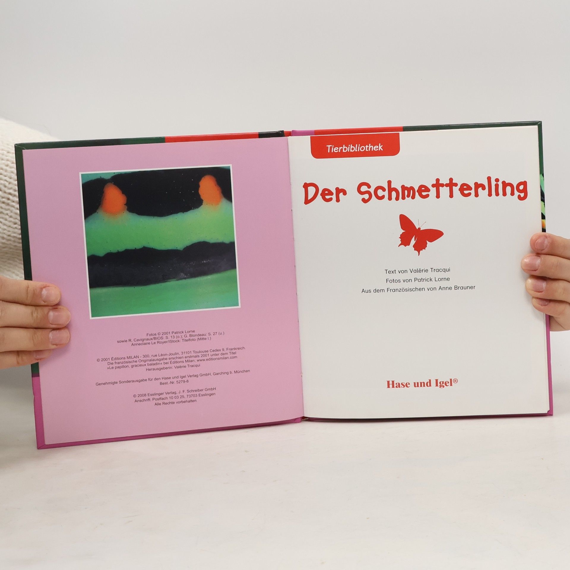 Anne Brauner Der Schmetterling