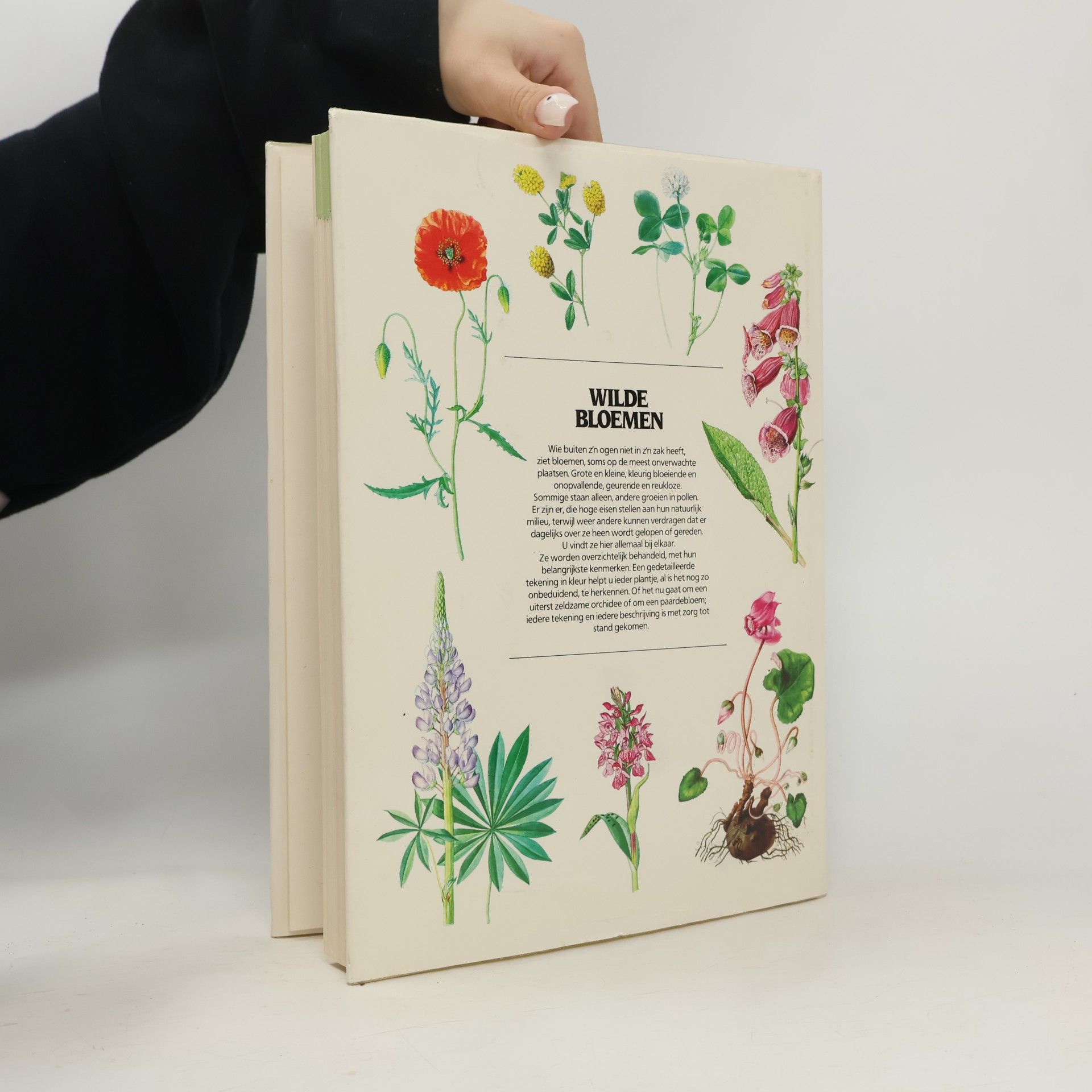 Various authors Wilde Bloemen