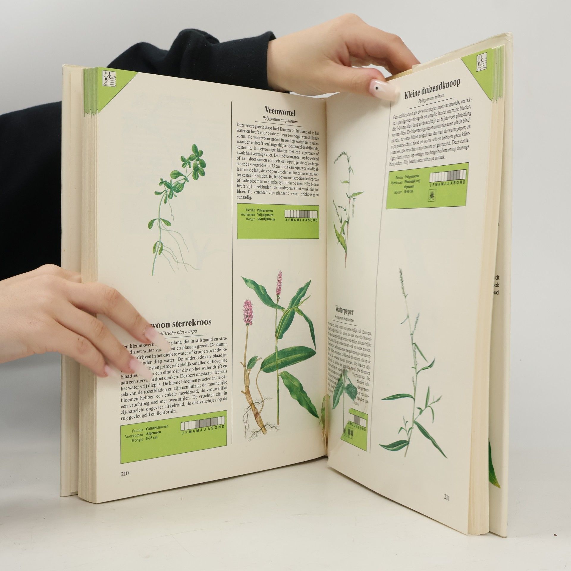 Various authors Wilde Bloemen