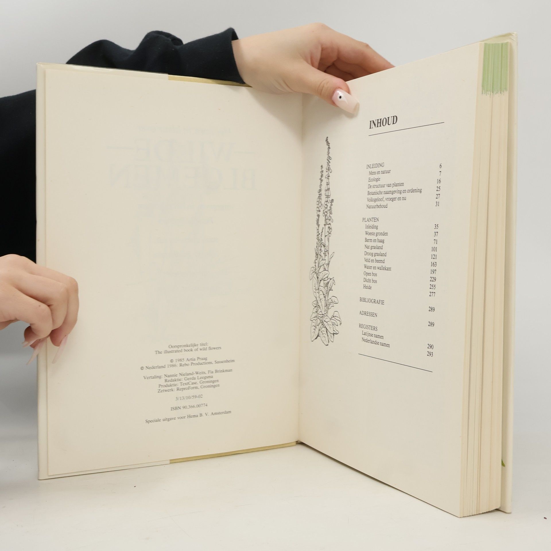 Various authors Wilde Bloemen