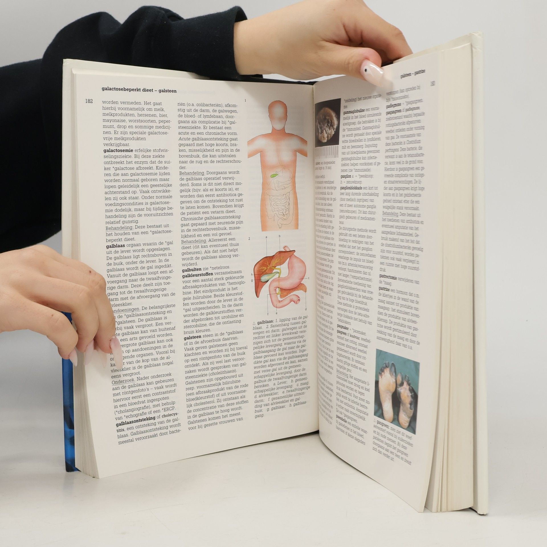 Edwin ten Winkel Elseviers Nieuwe Medische Encyclopedie