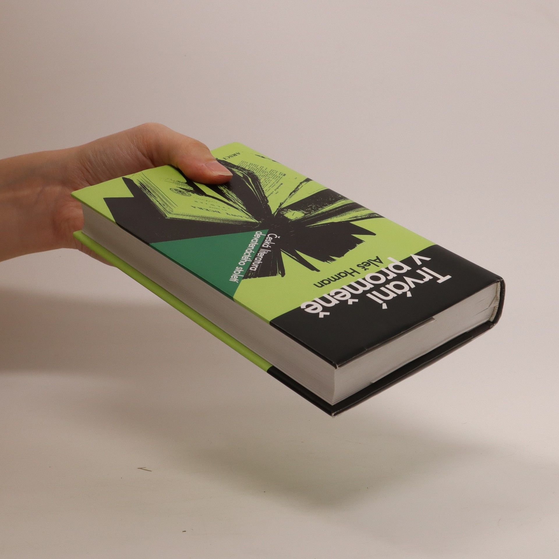 Aleš Haman Trvání v proměně : česká literatura devatenáctého století