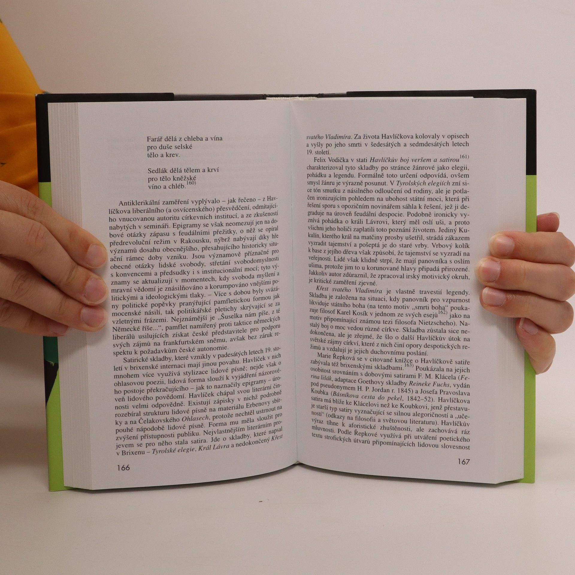Aleš Haman Trvání v proměně : česká literatura devatenáctého století