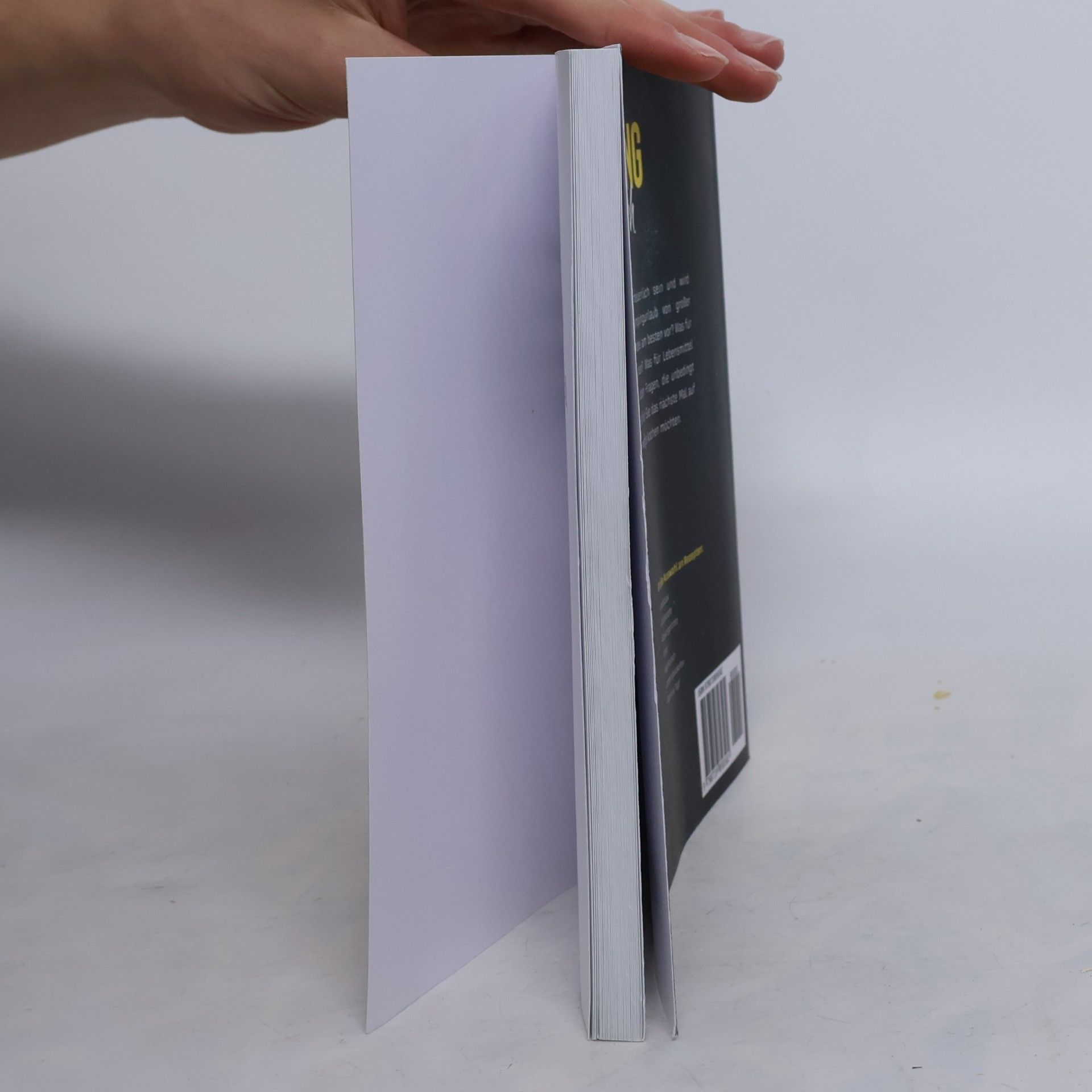 Olivier Reneau Camping Kochbuch