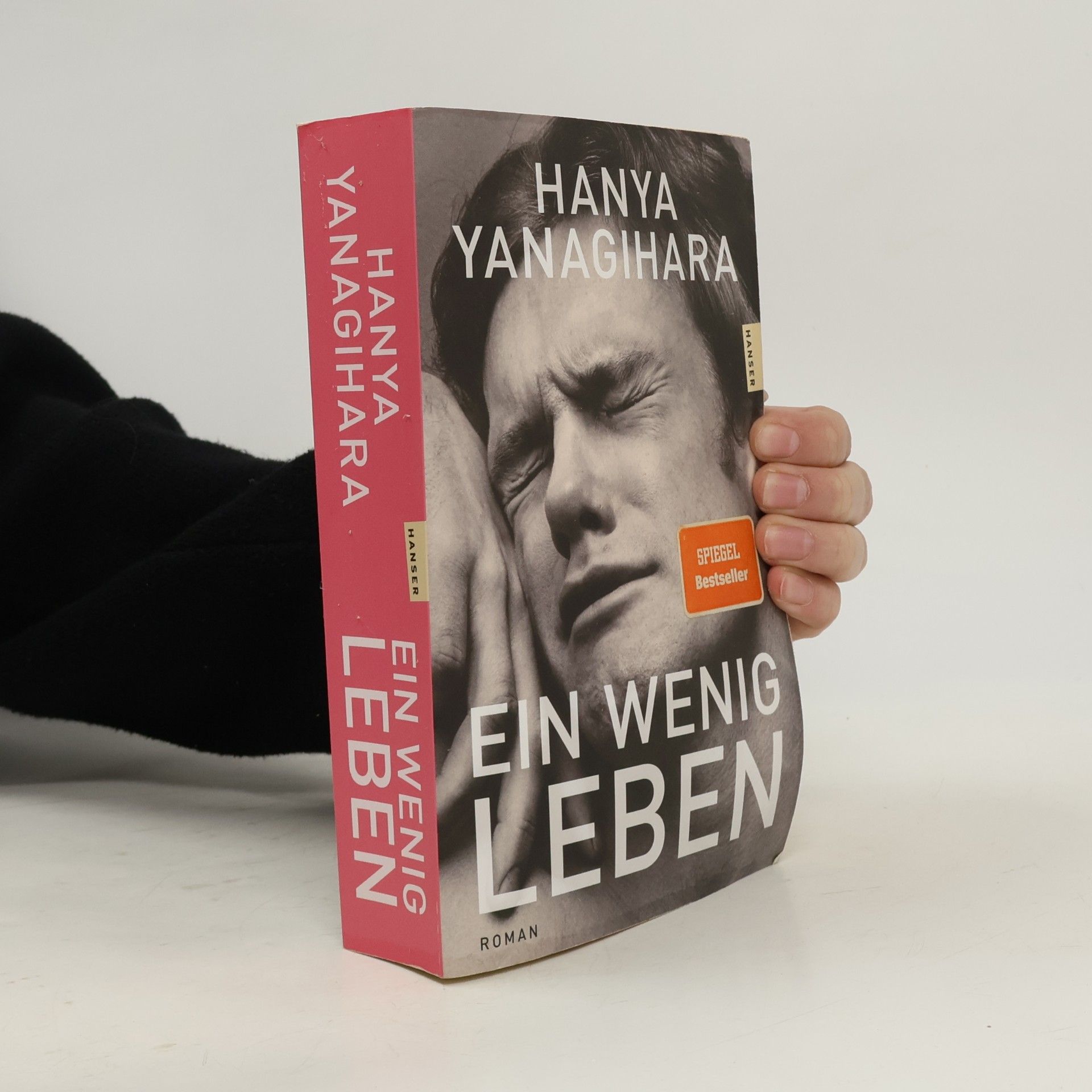 Ein wenig Leben: Roman
