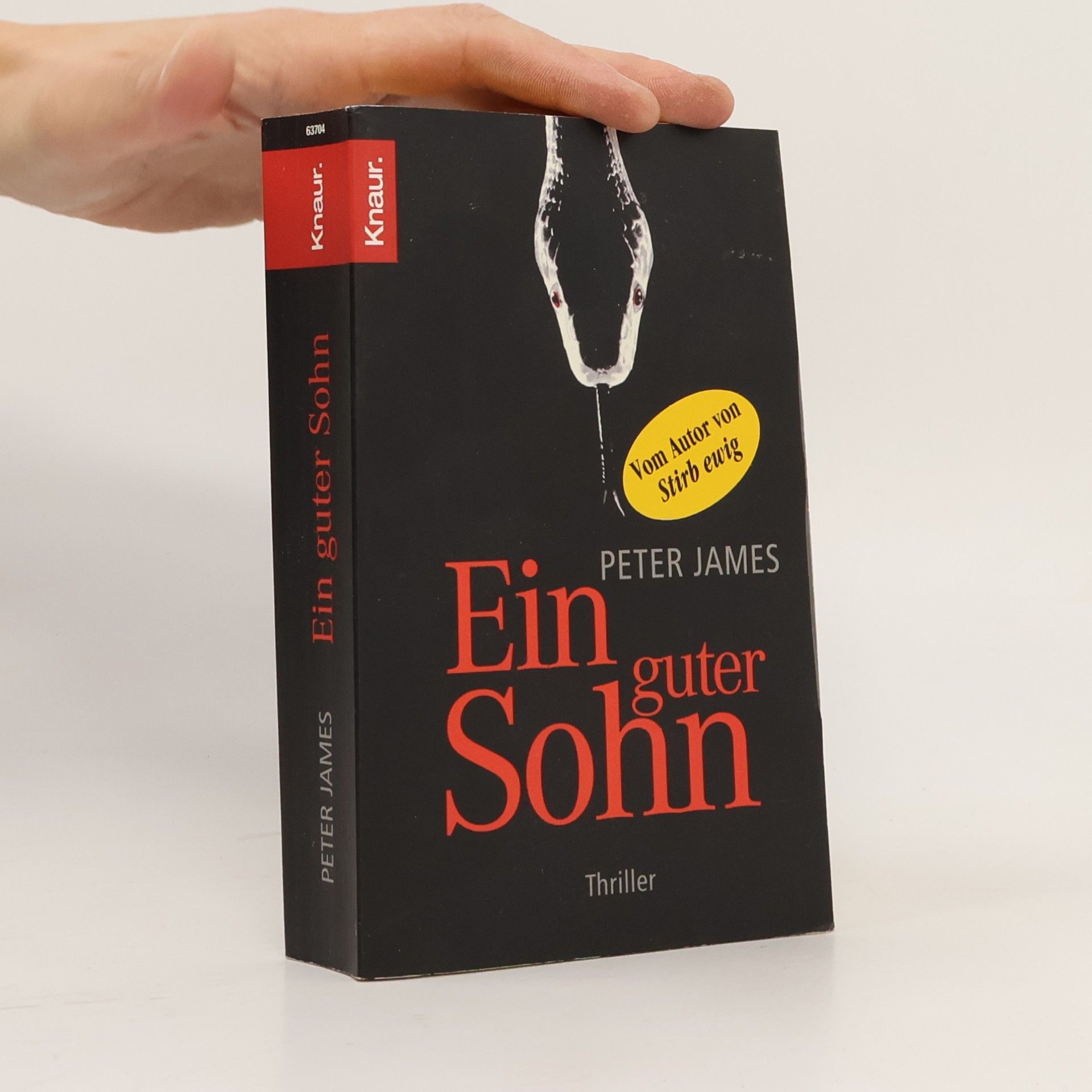 Ein guter Sohn
