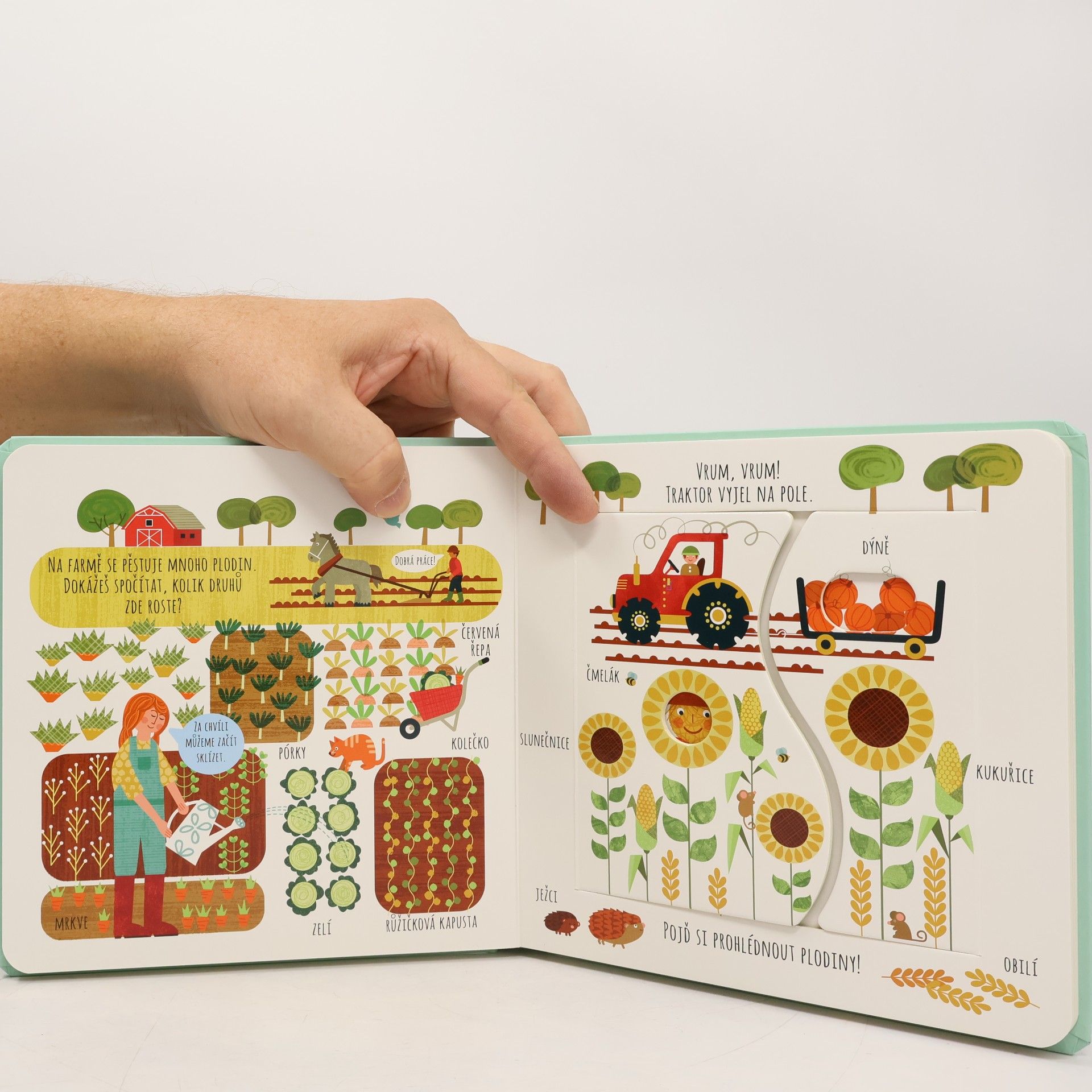 Tereza Svojtková Farma : první slova