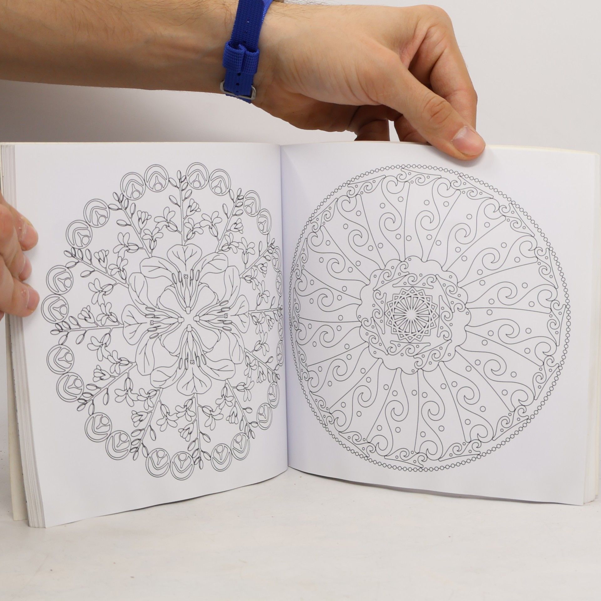 Kolektiv autorů Das große Mandala-Zeichenset. Zauber der Symmetrie - Malen & Entspannen
