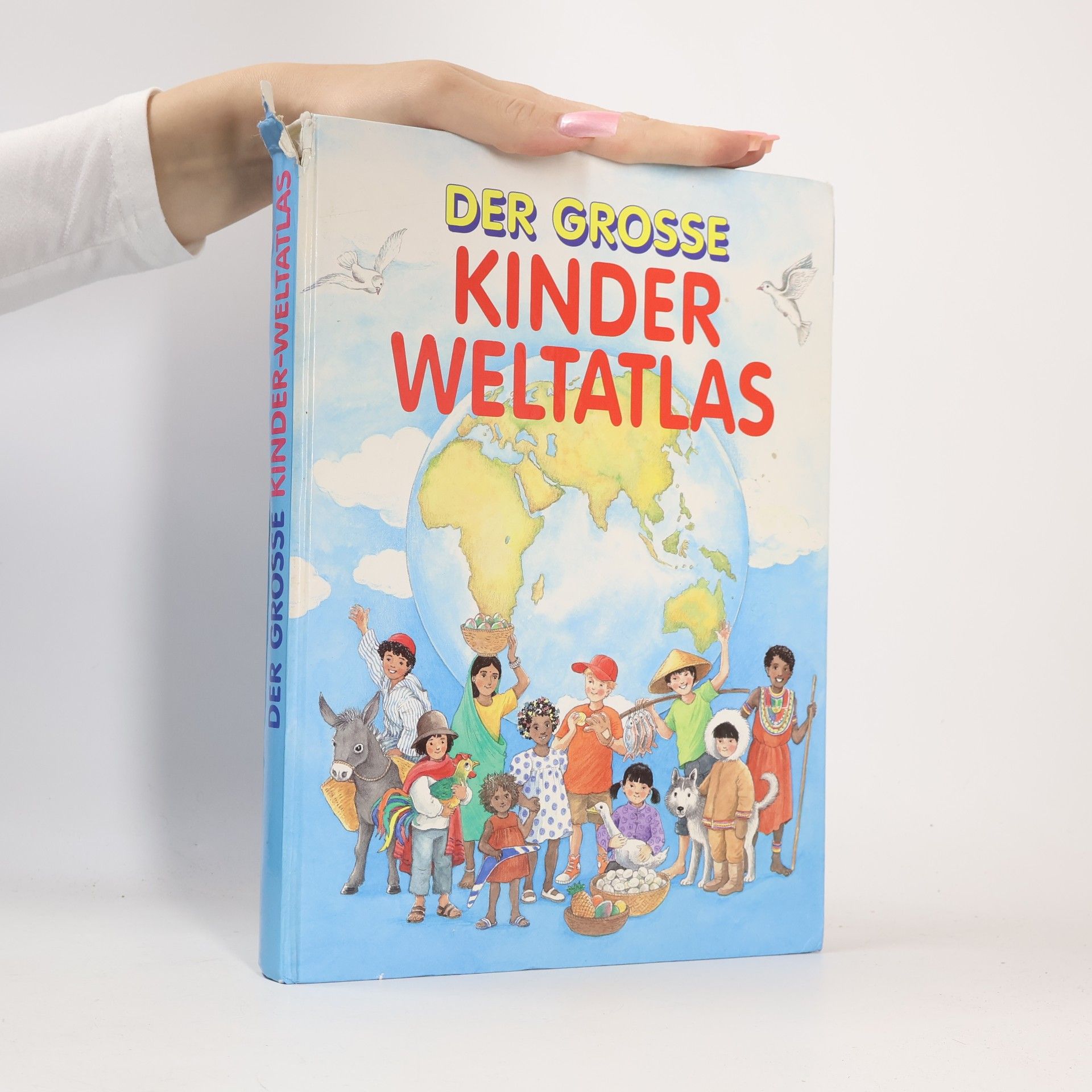 Der große Kinderweltatlas (Gondrom).