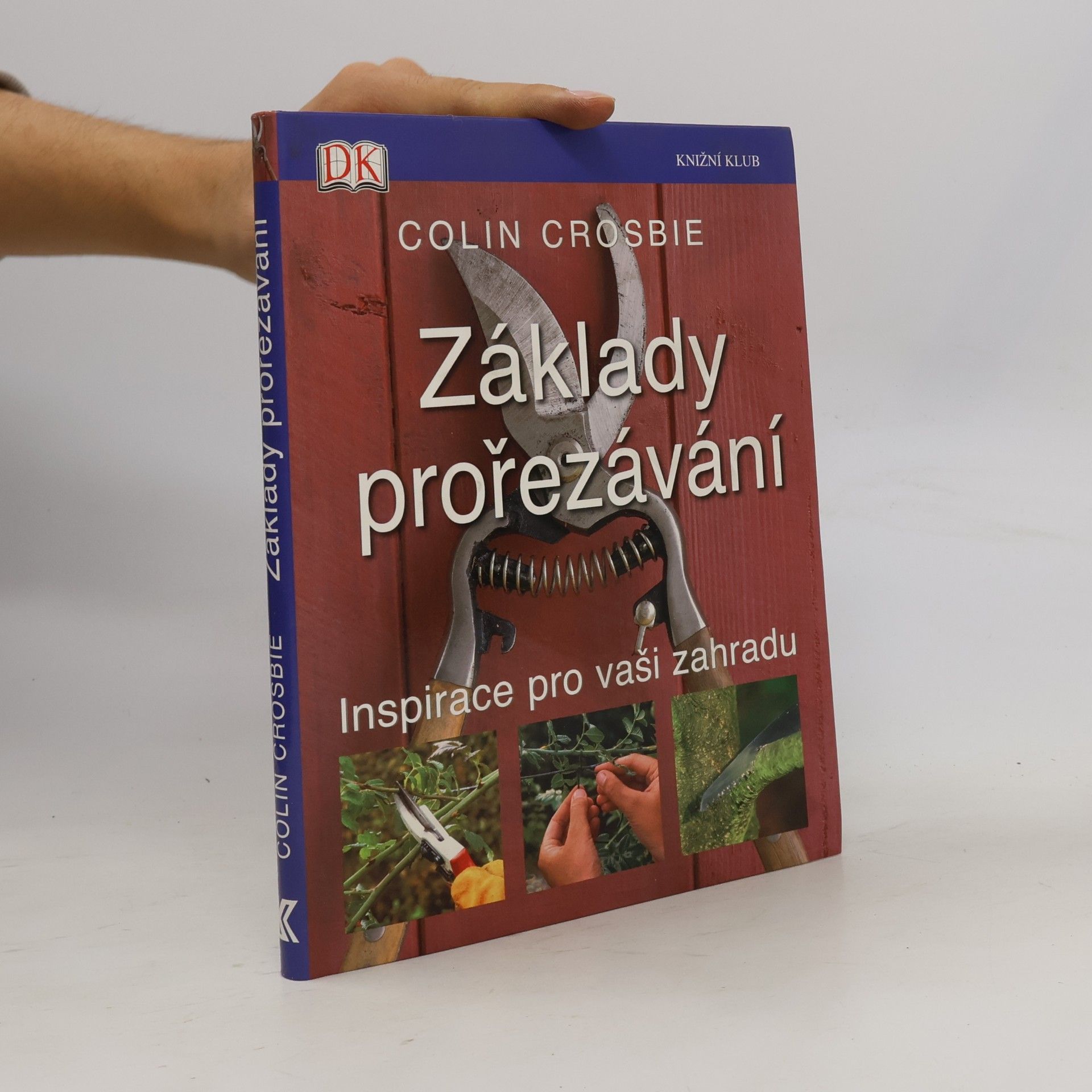 Základy prořezávání