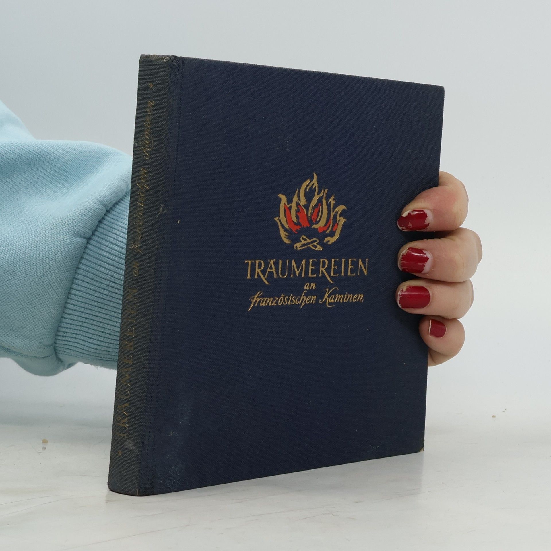 Träumereien an Französischen Kaminen